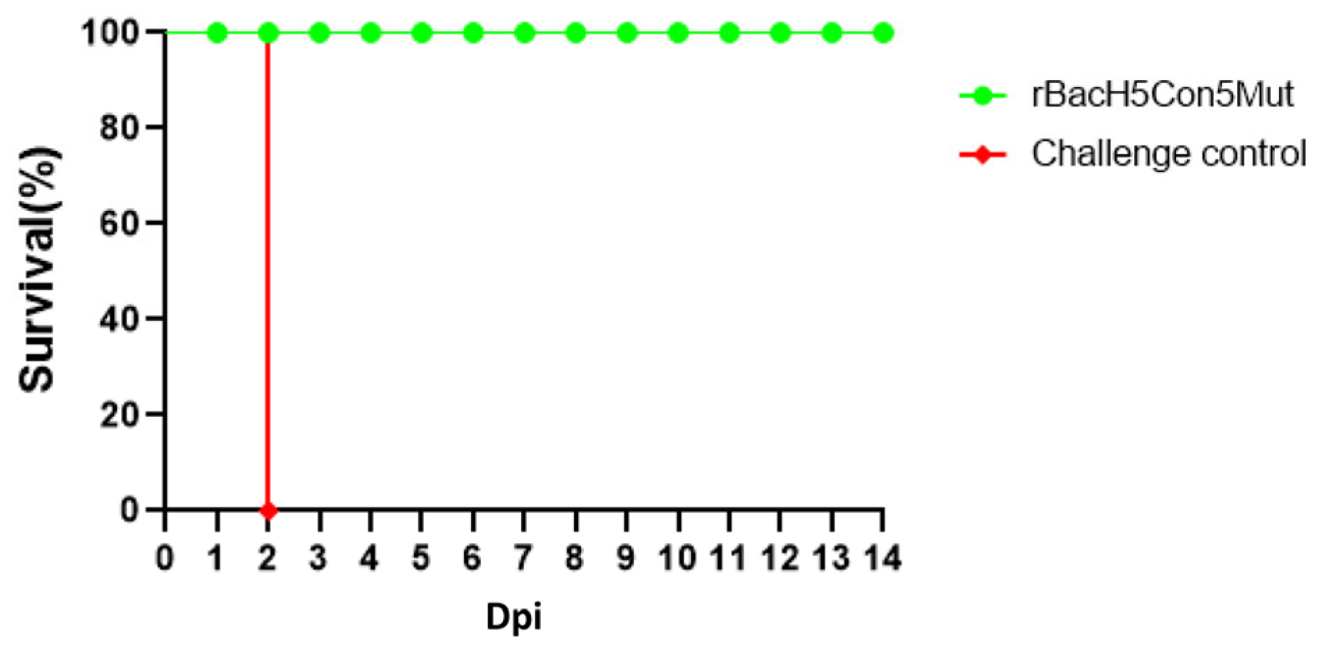 Vaccines 12 00932 g005 Vaccines 12 00932 g005