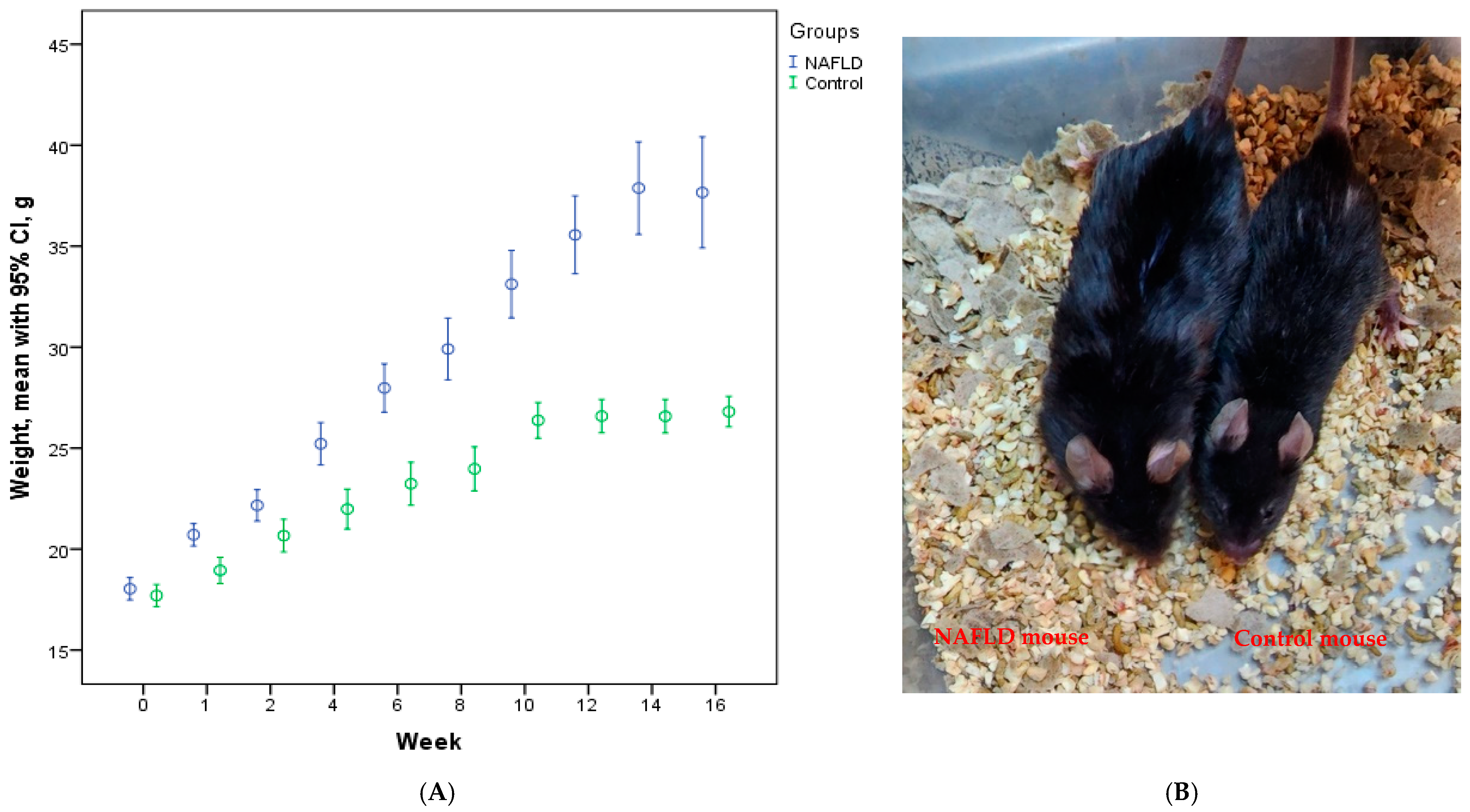 Vaccines 12 00934 g001