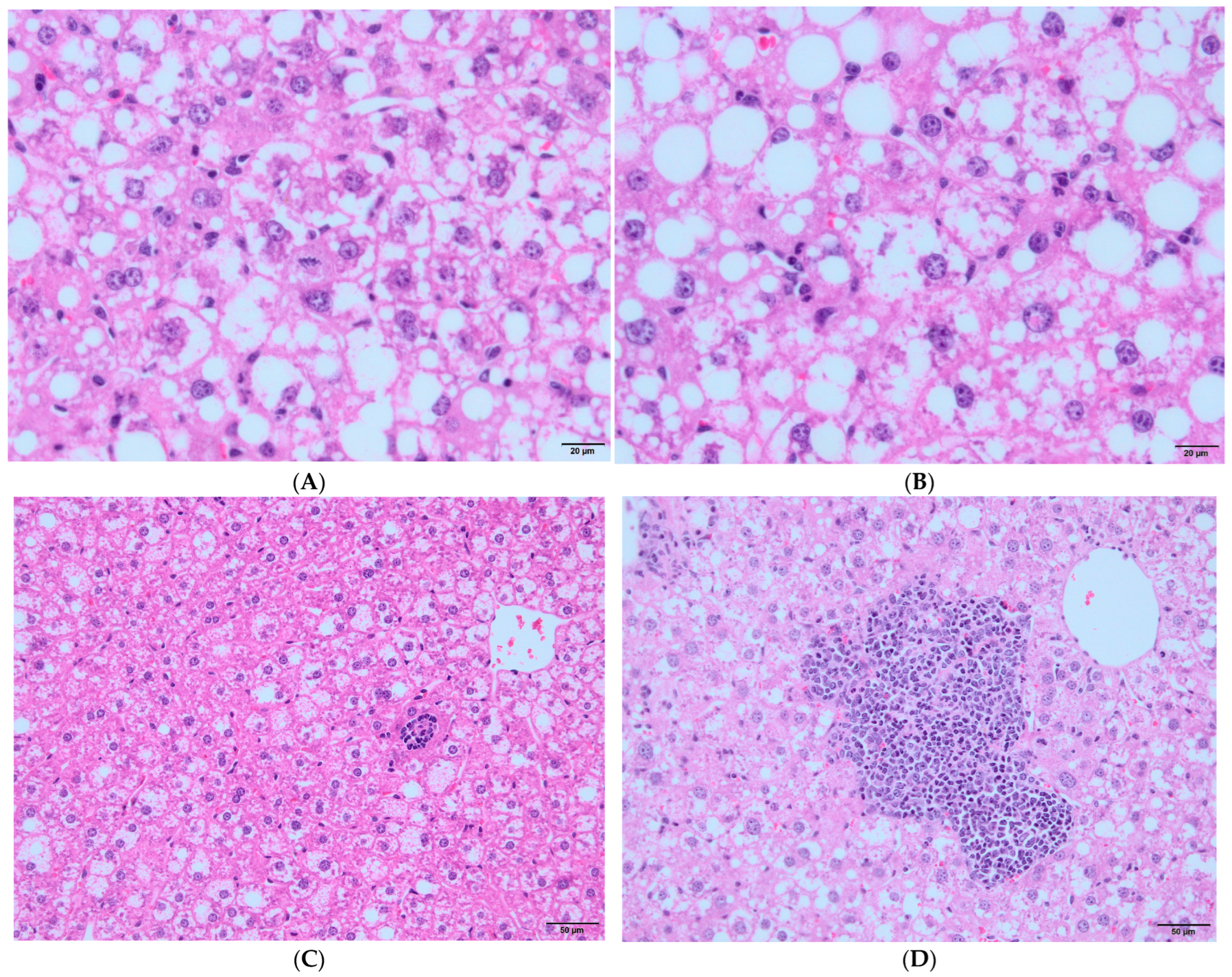 Vaccines 12 00934 g003