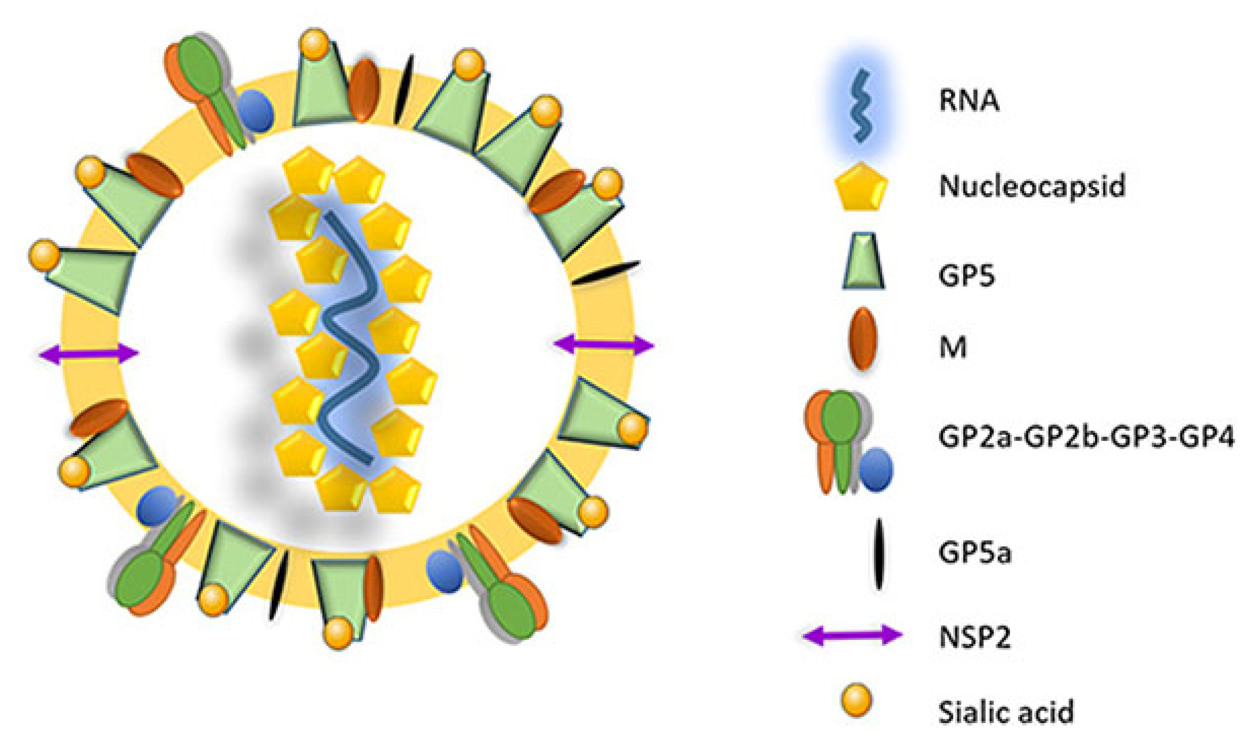 Vaccines 12 00942 g002