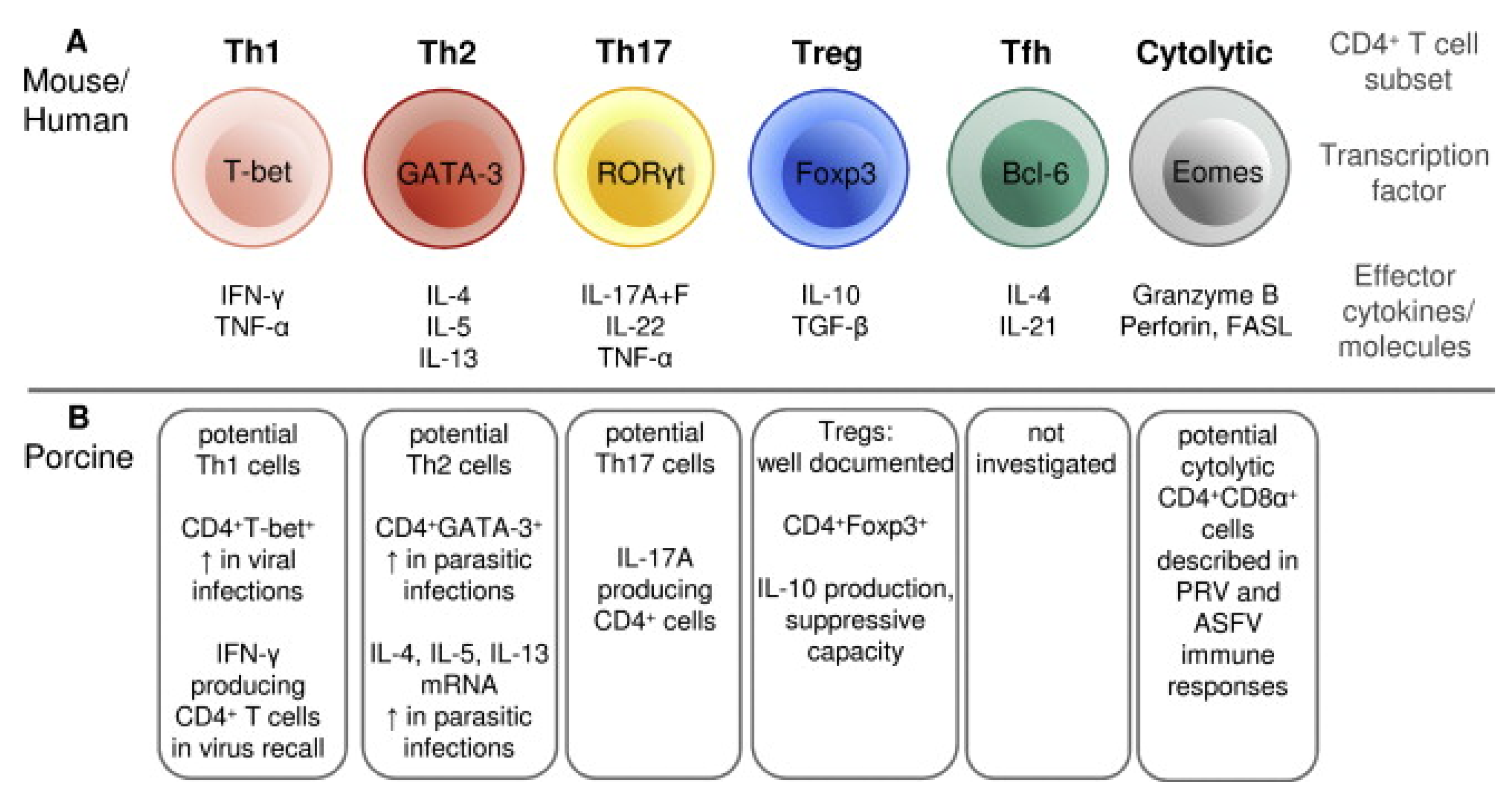 Vaccines 12 00942 g003
