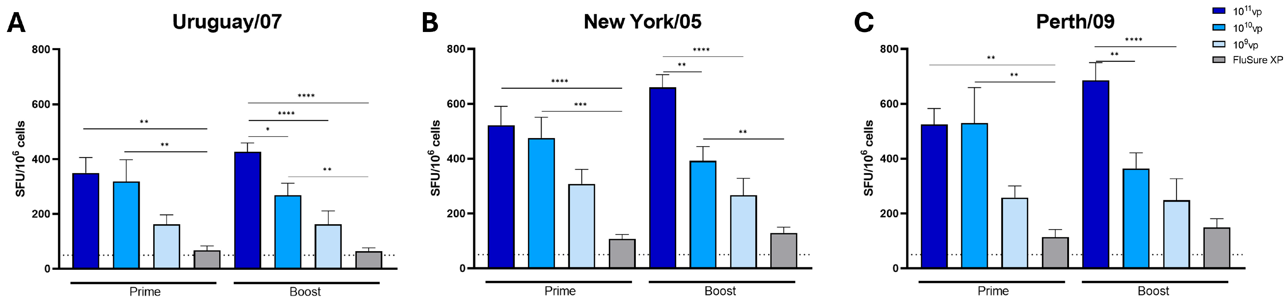 Vaccines 12 00943 g002