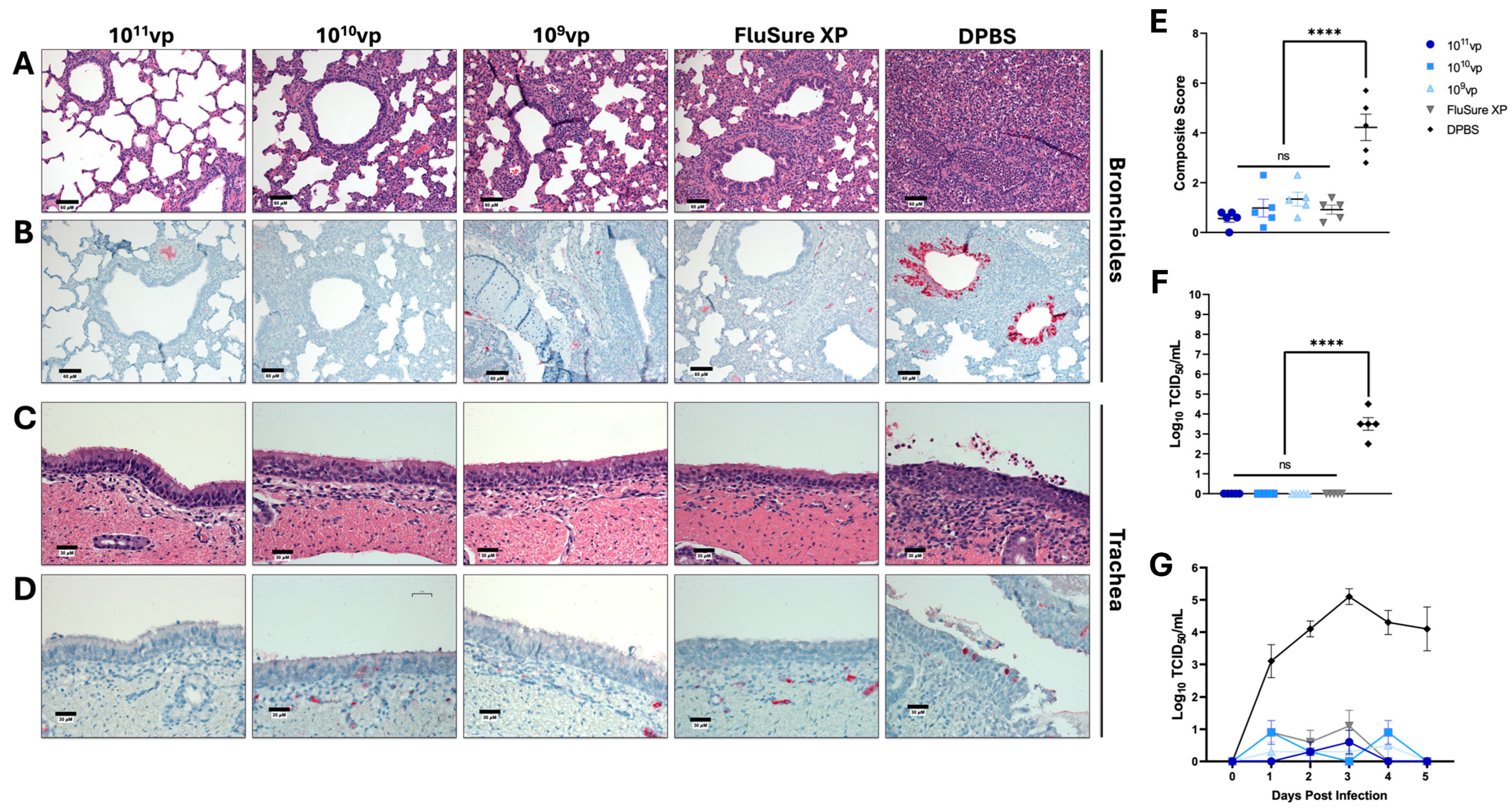Vaccines 12 00943 g003
