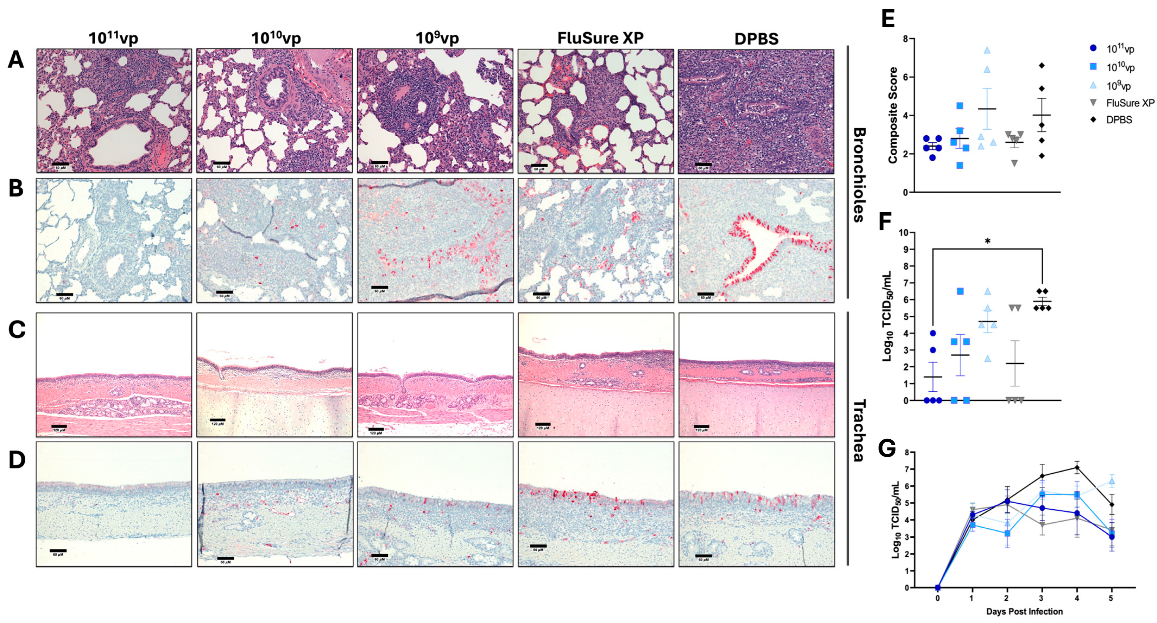 Vaccines 12 00943 g005