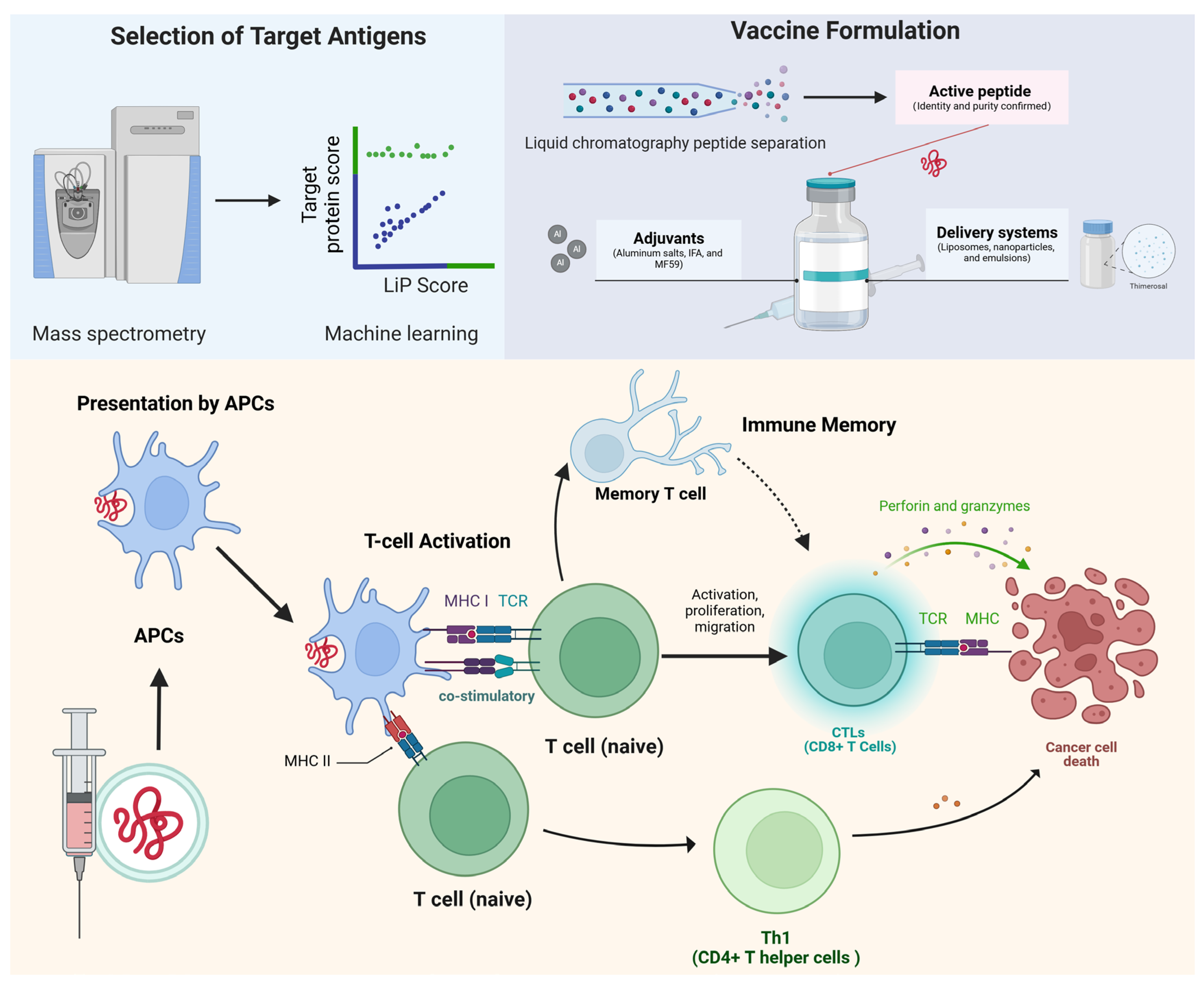 Vaccines 12 00950 g001