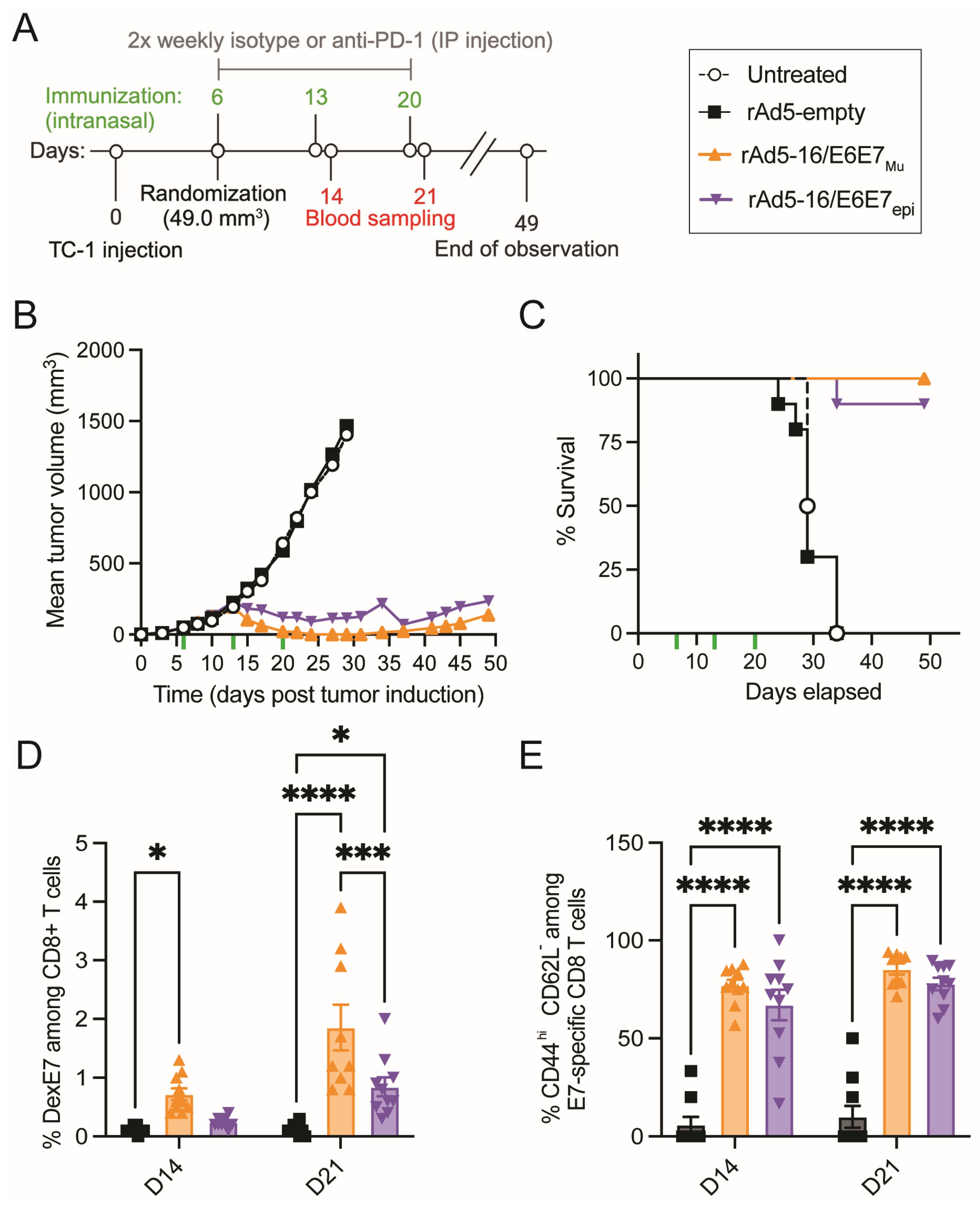 Vaccines 12 00955 g004