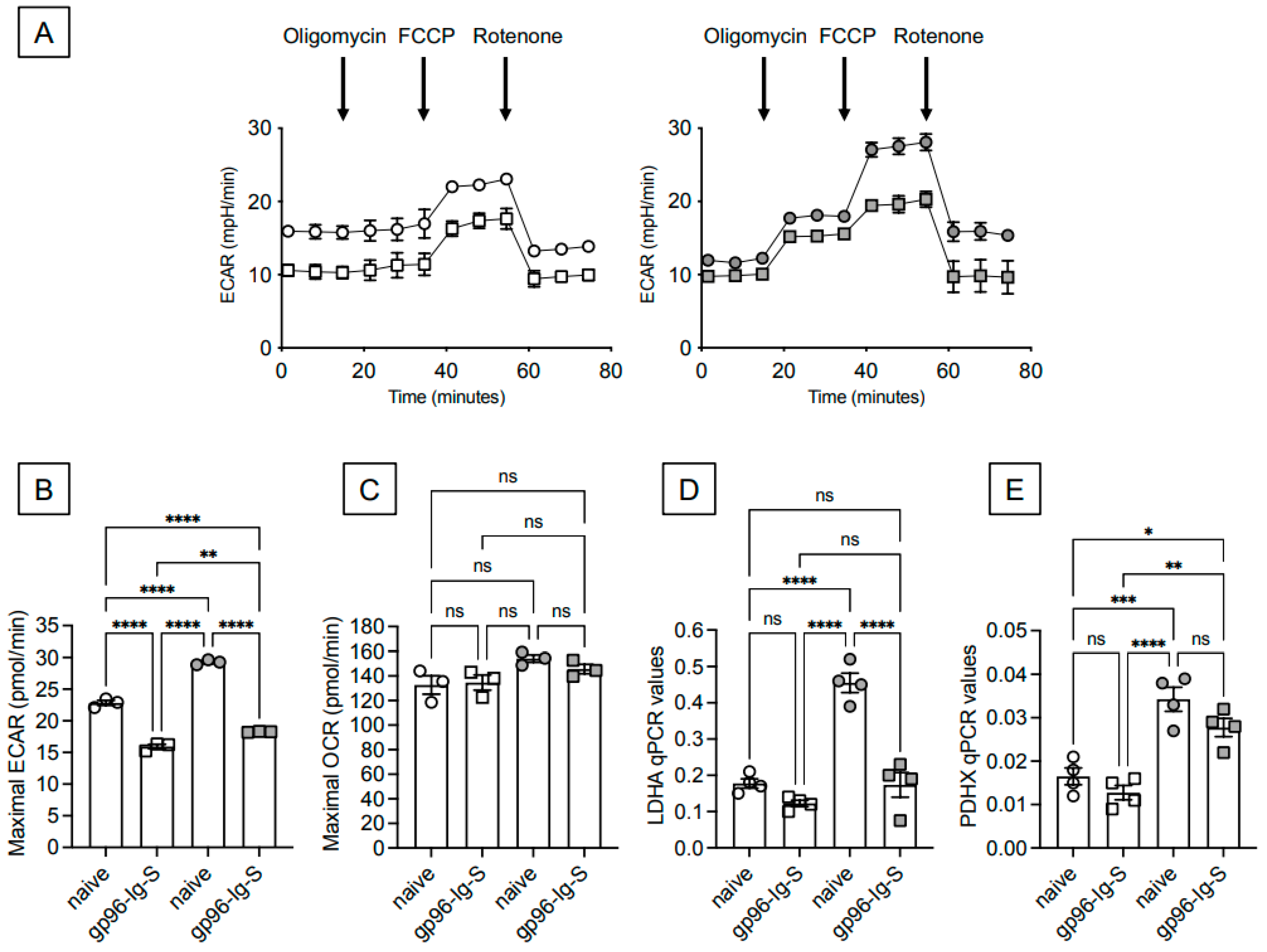 Vaccines 12 00960 g003 Vaccines 12 00960 g003