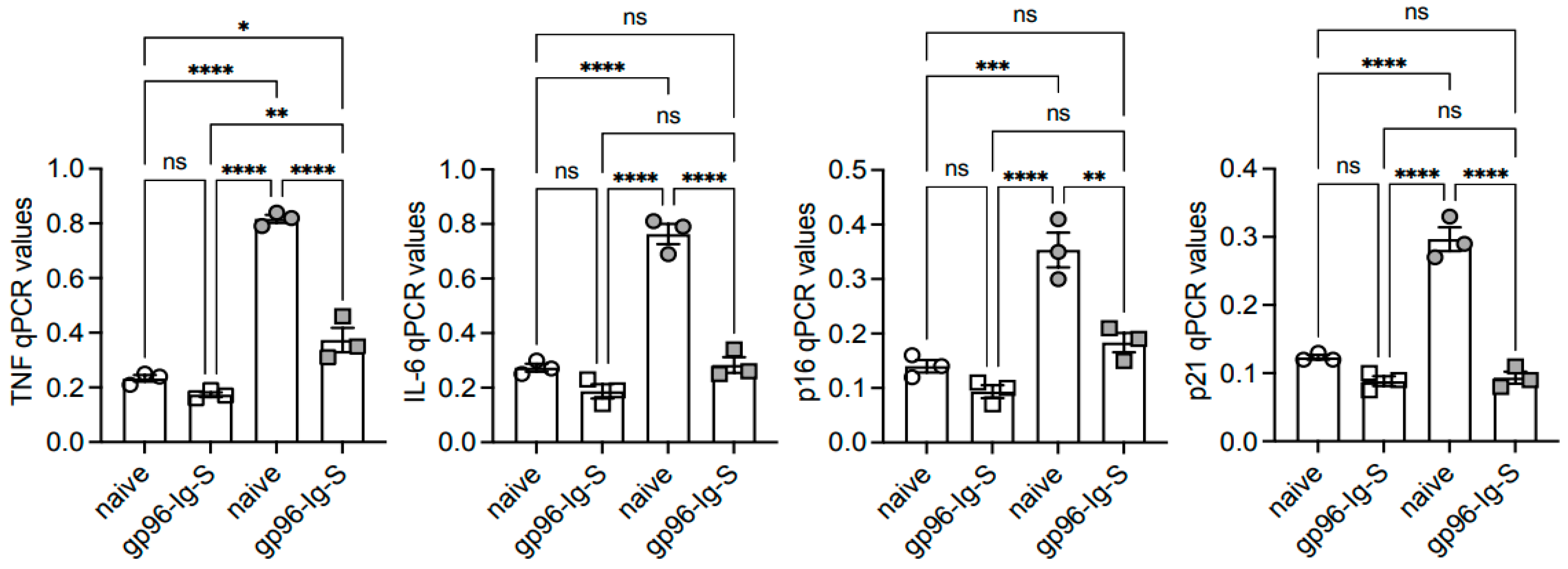Vaccines 12 00960 g004 Vaccines 12 00960 g004