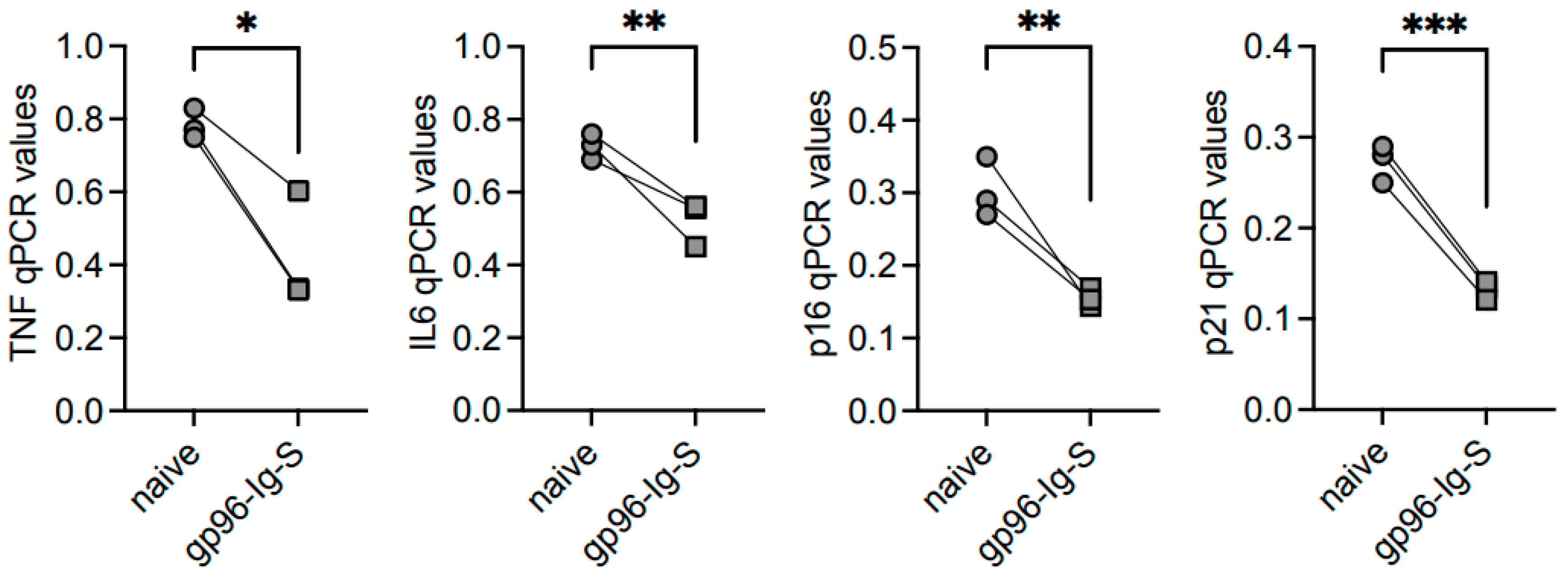 Vaccines 12 00960 g006 Vaccines 12 00960 g006