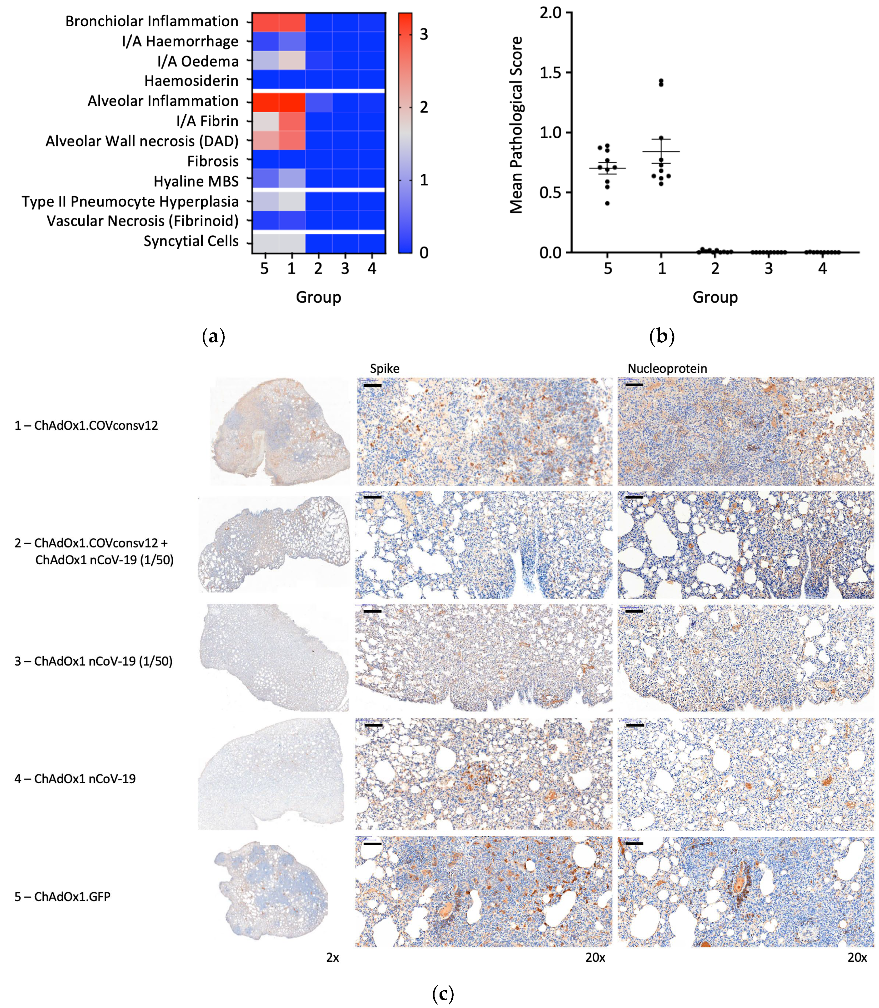 Vaccines 12 00965 g006