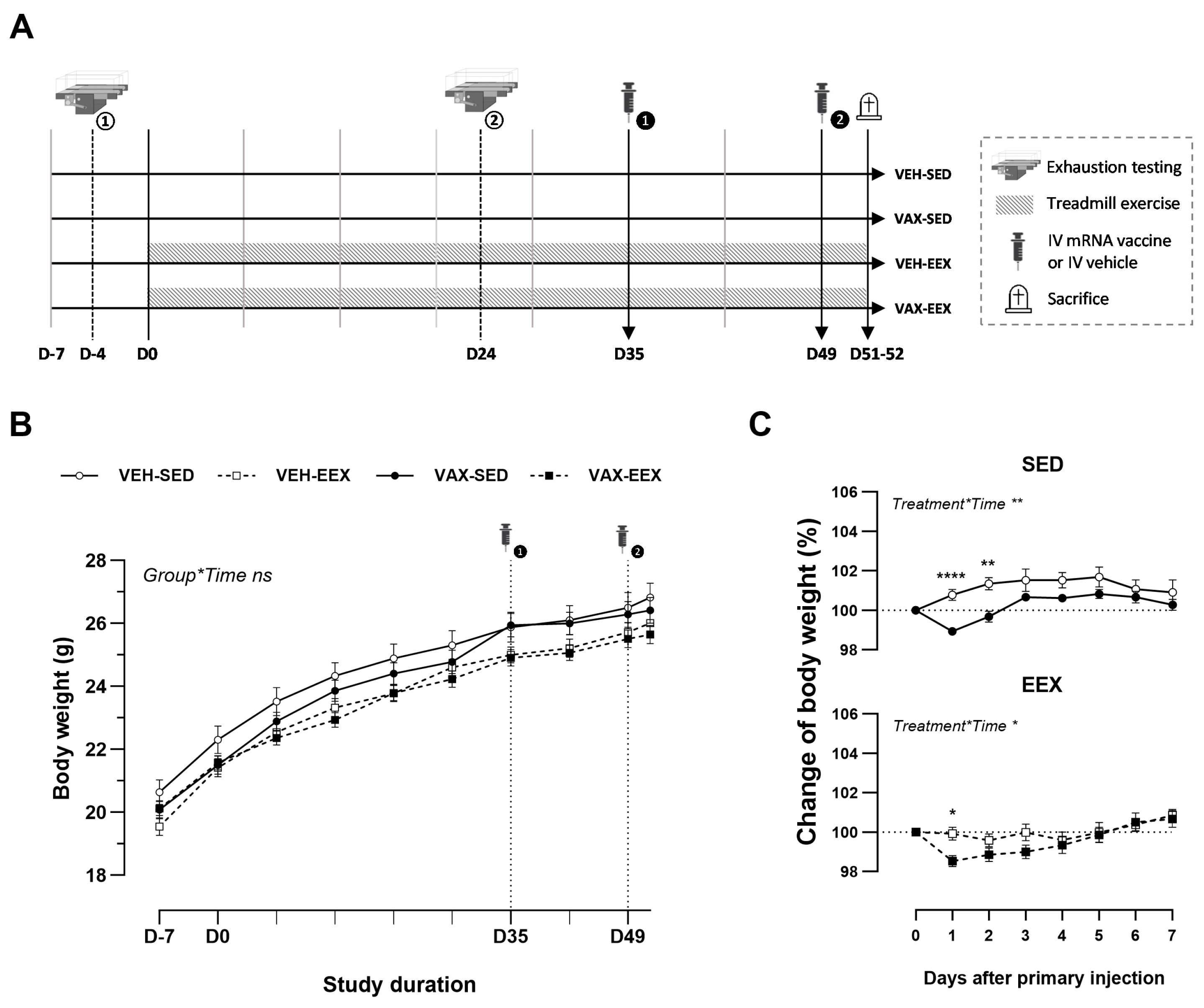Vaccines 12 00966 g001