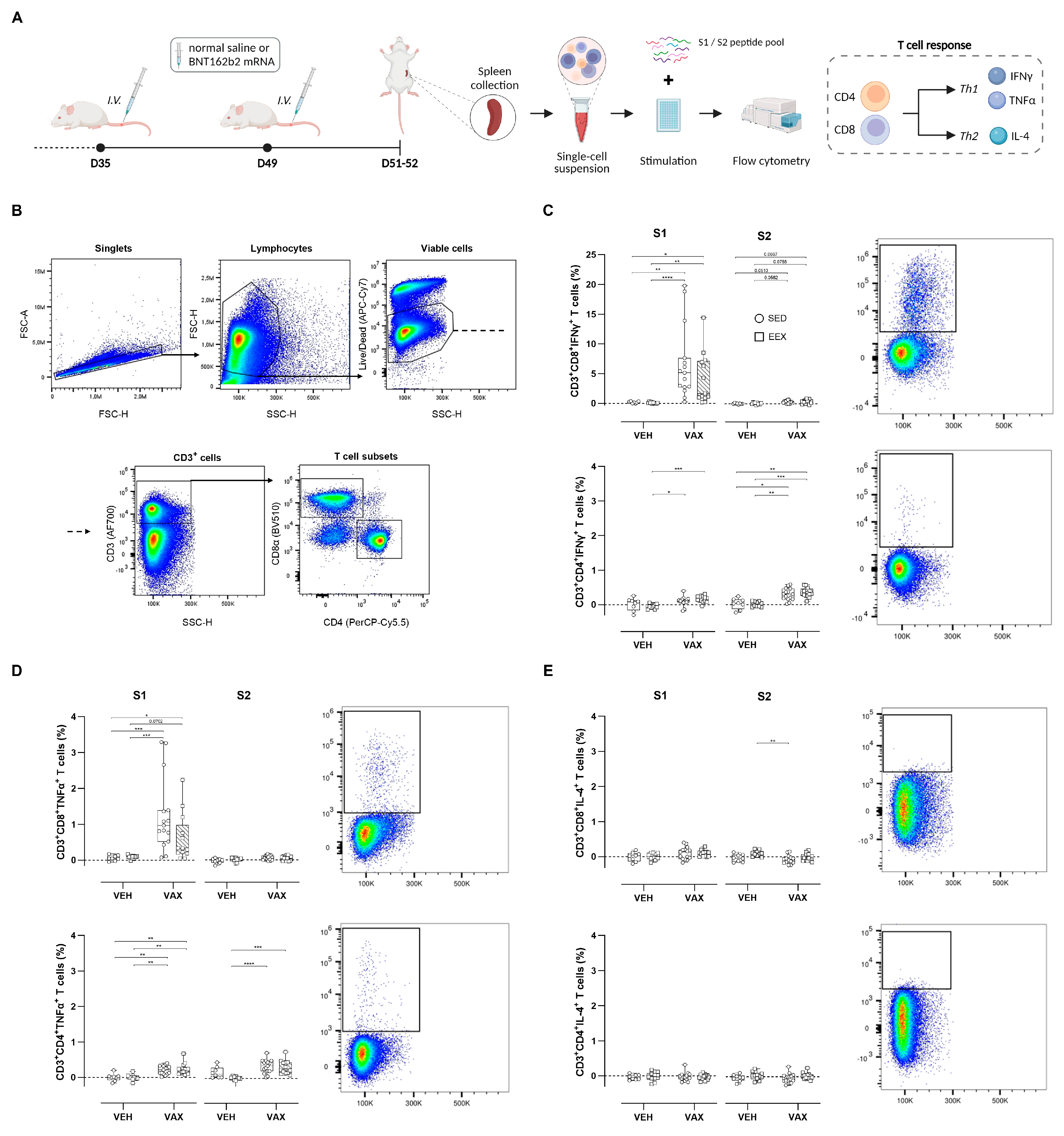 Vaccines 12 00966 g002
