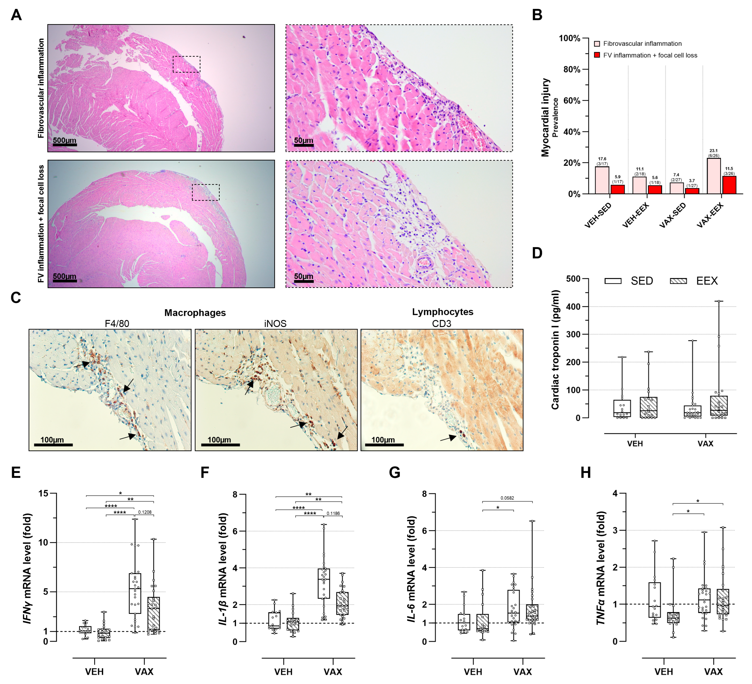Vaccines 12 00966 g004