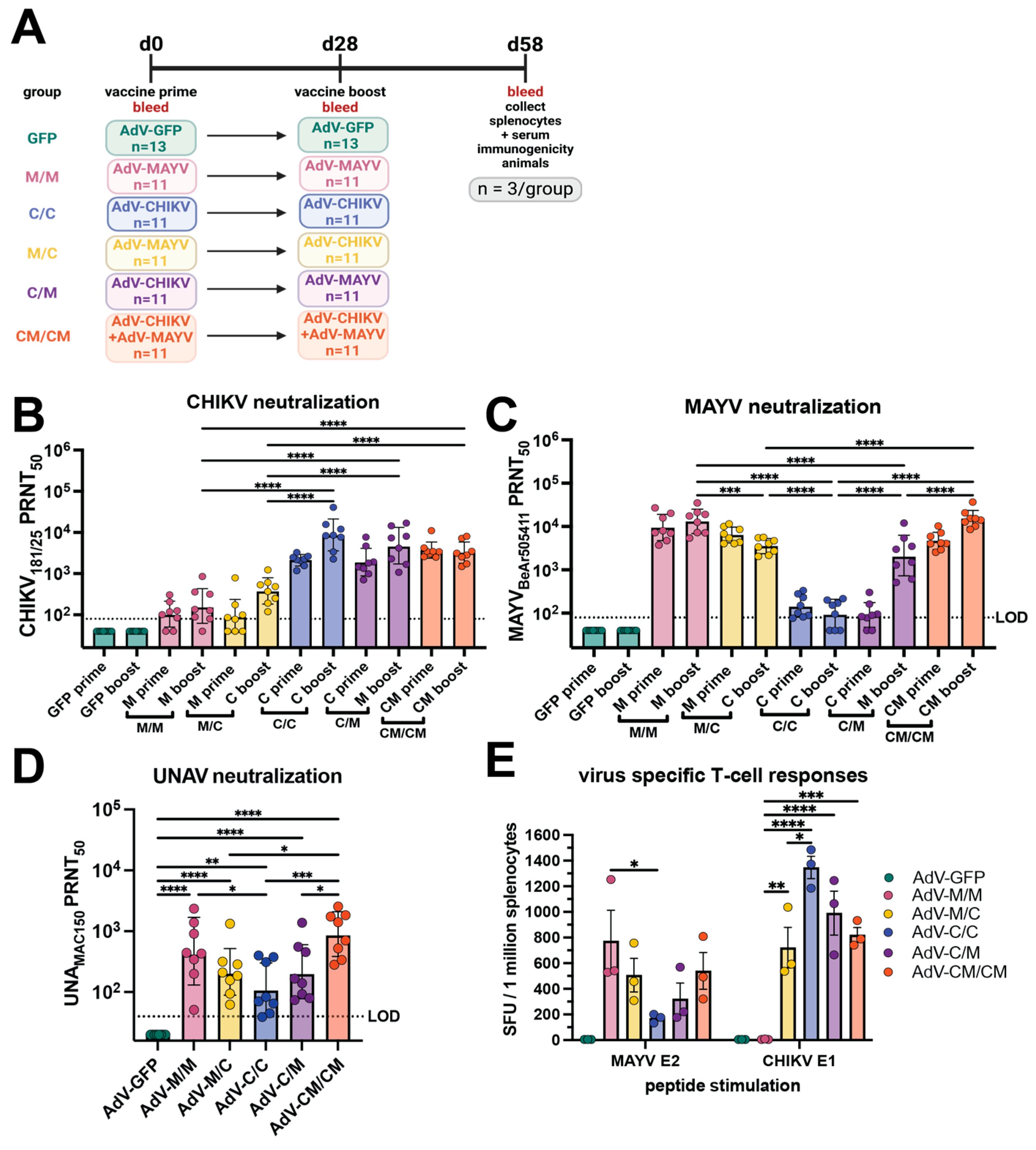 Vaccines 12 00970 g001
