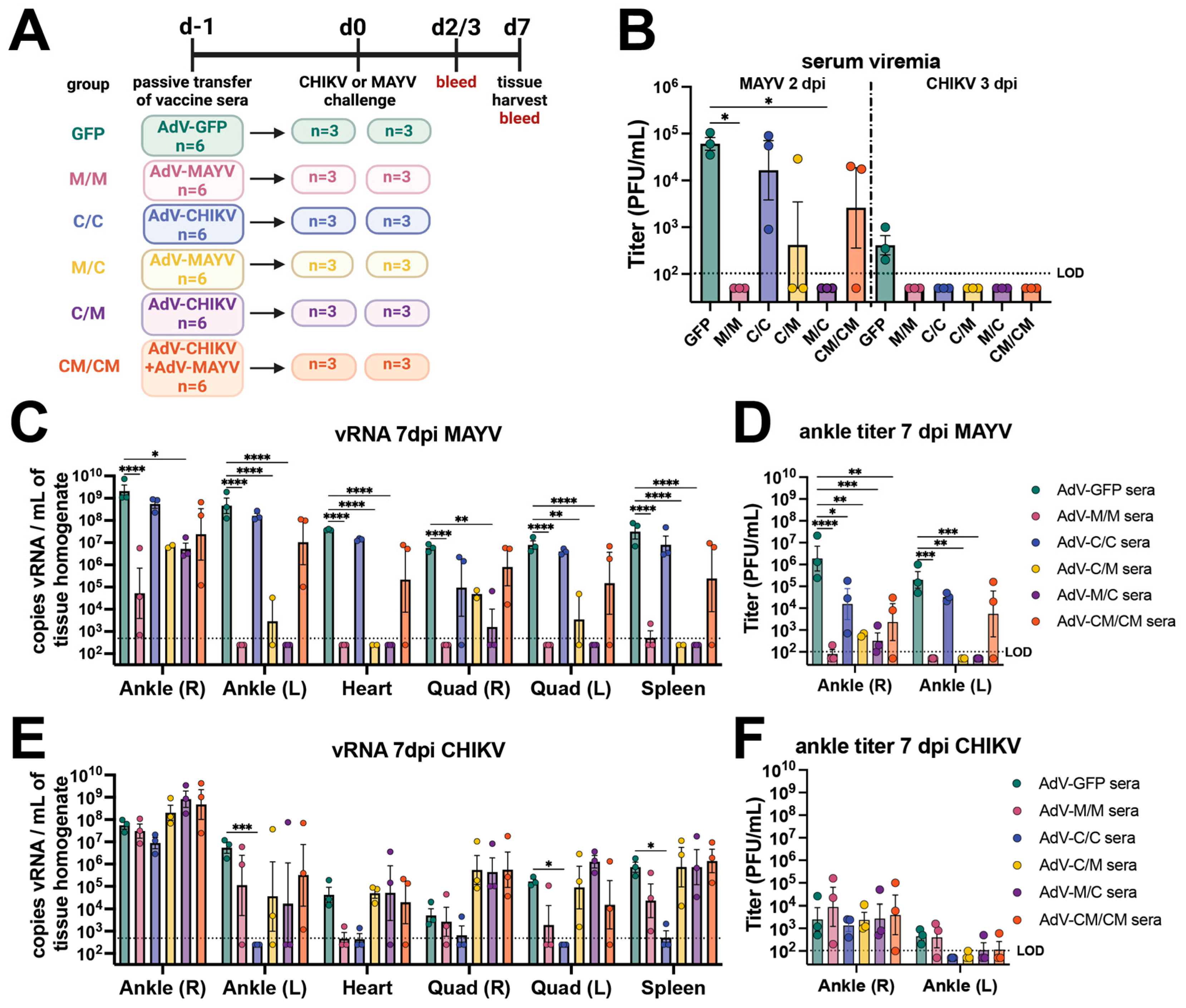 Vaccines 12 00970 g003
