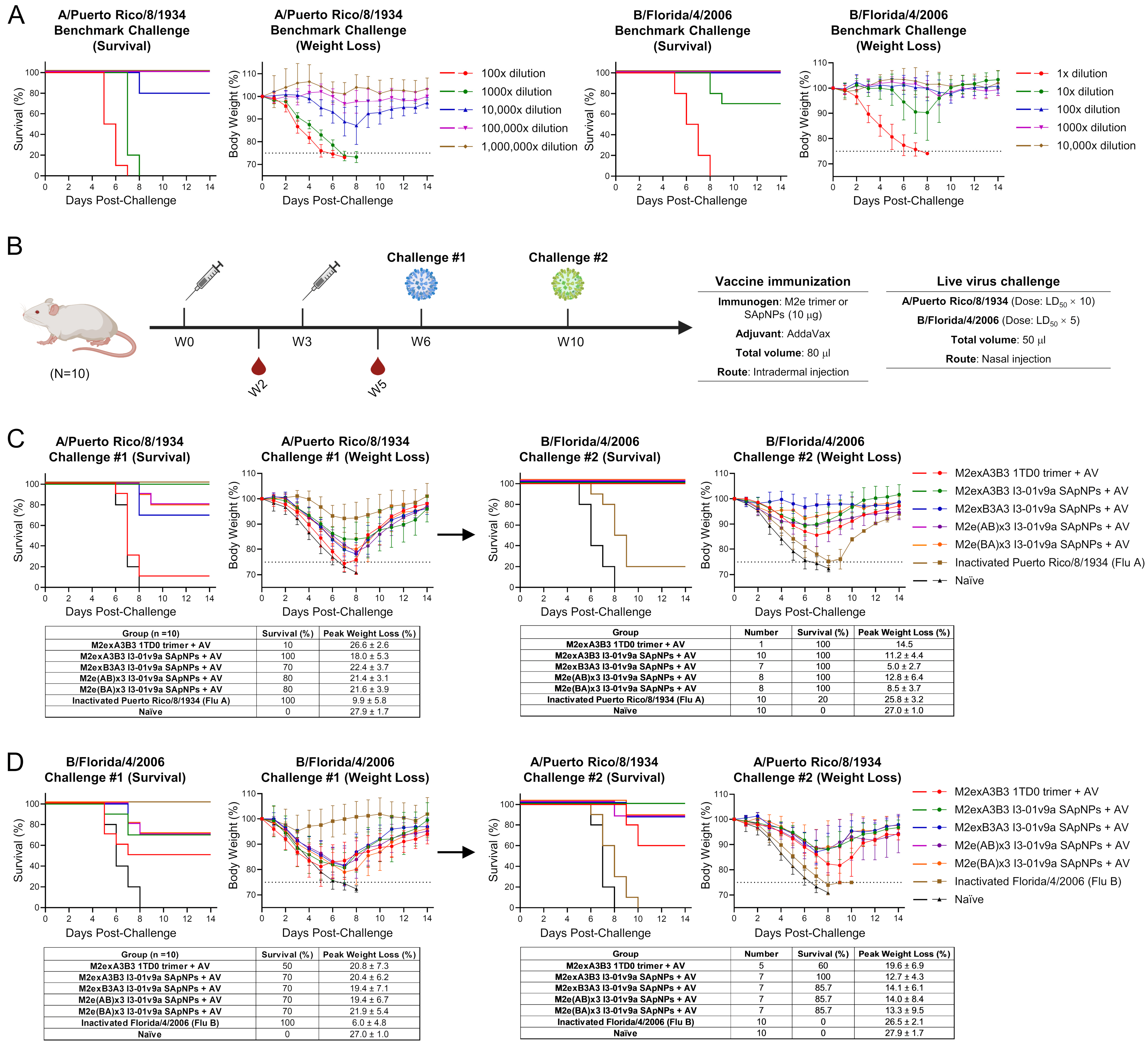 Vaccines 12 00975 g002