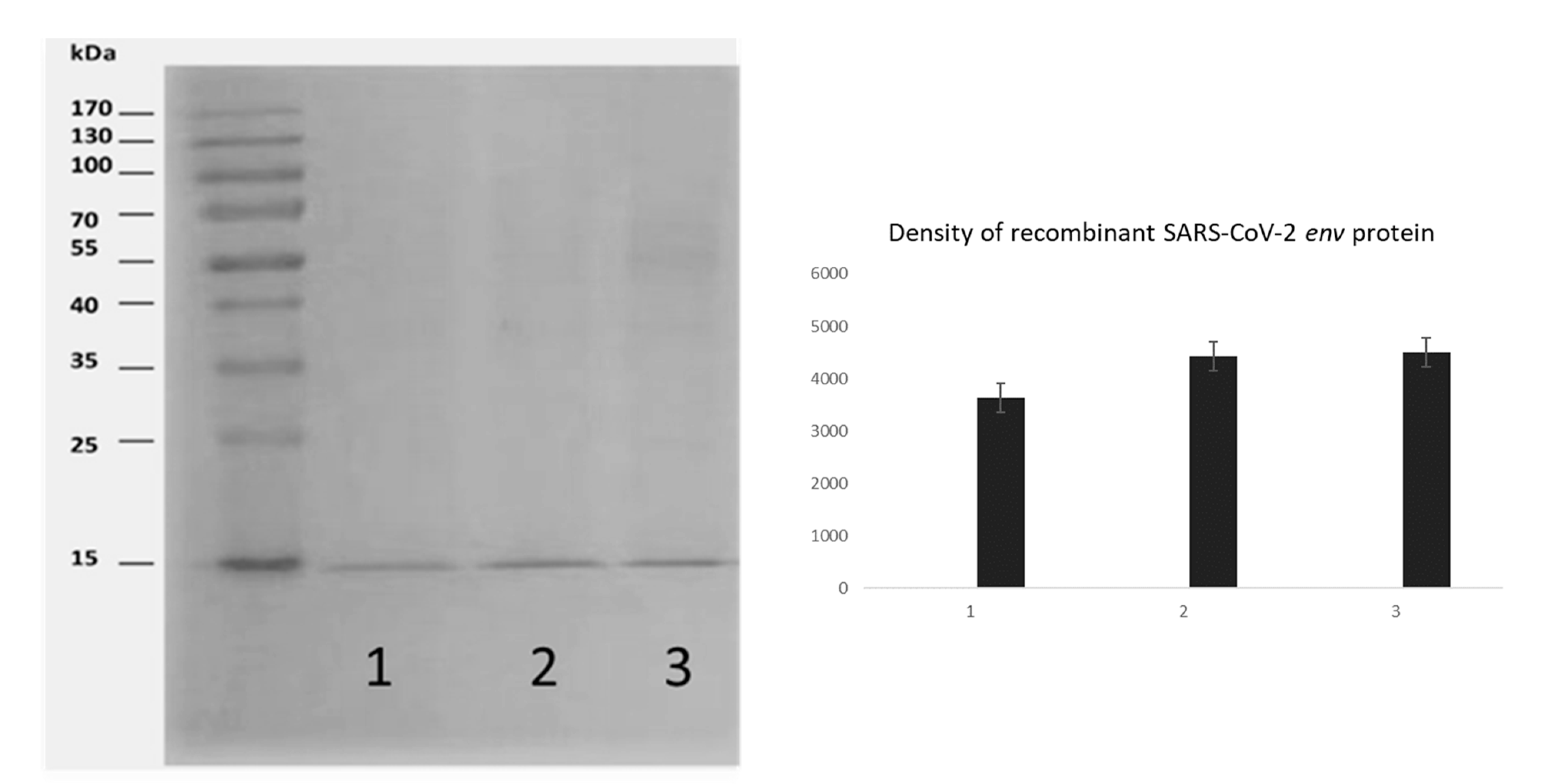 Vaccines 12 00977 g001