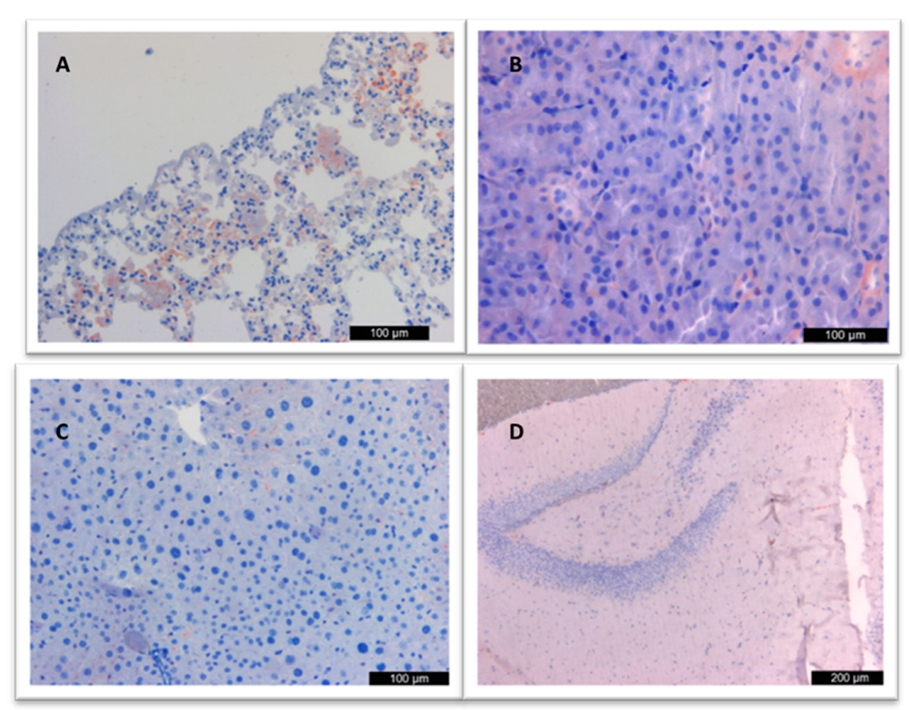 Vaccines 12 00977 g004