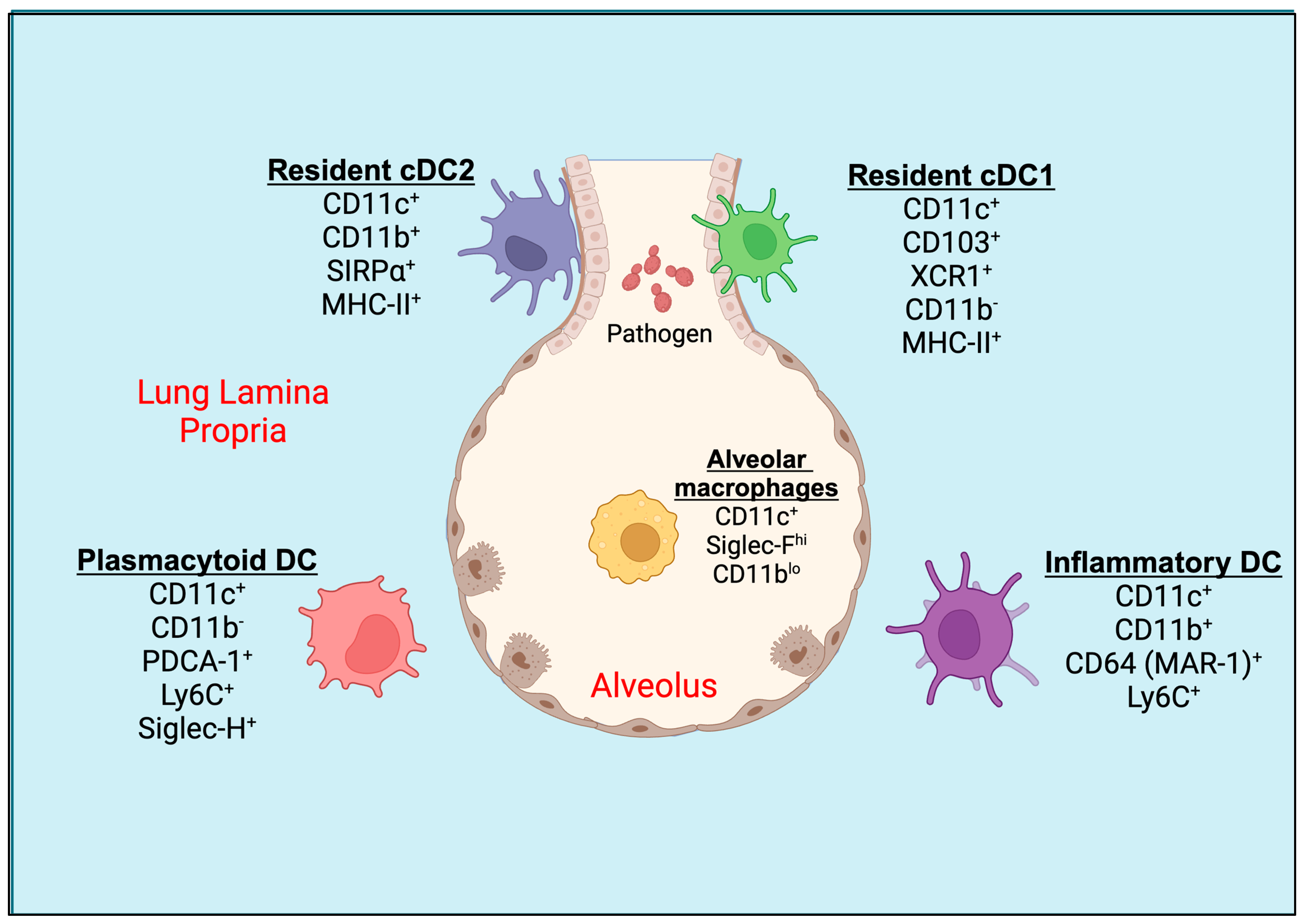 Advances in Dendritic-Cell-Based Vaccines against