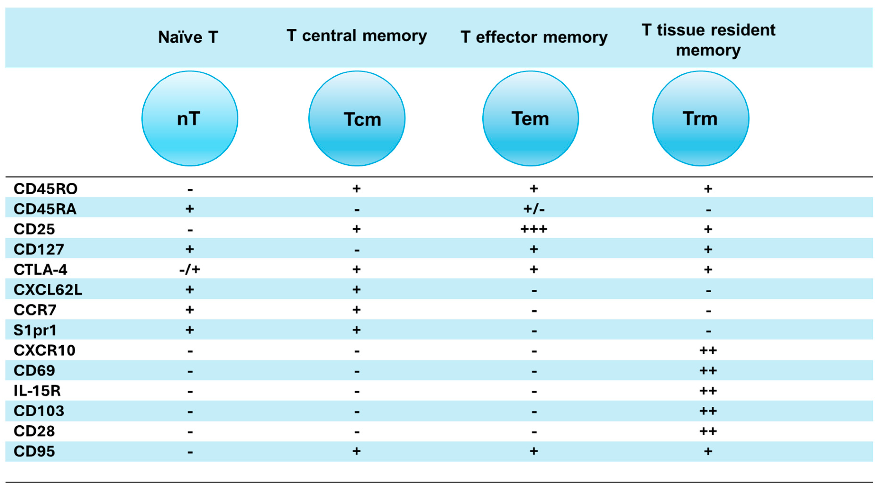 Vaccines 12 00992 g001