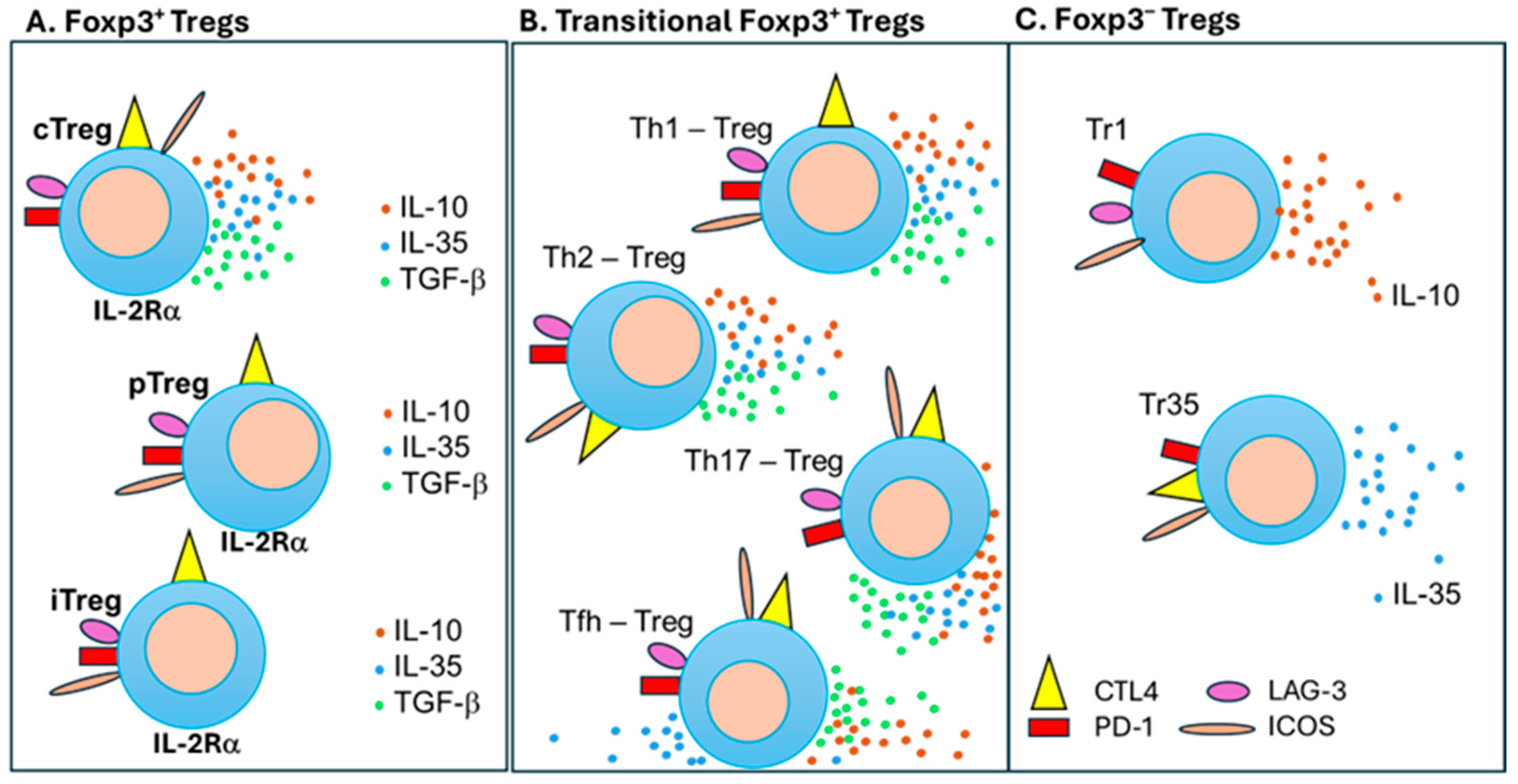 Vaccines 12 00992 g003