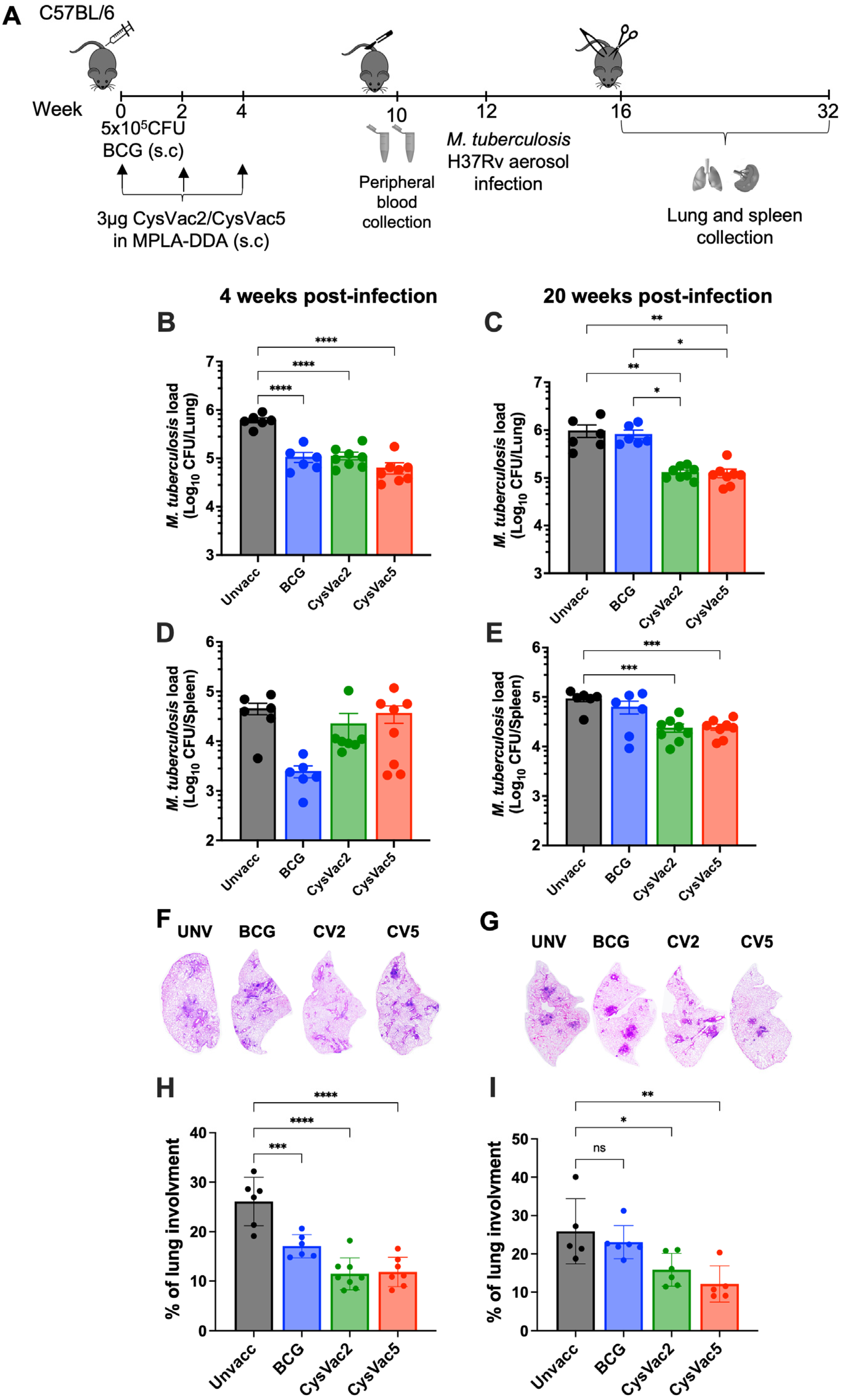 Vaccines 12 00997 g003 Vaccines 12 00997 g003