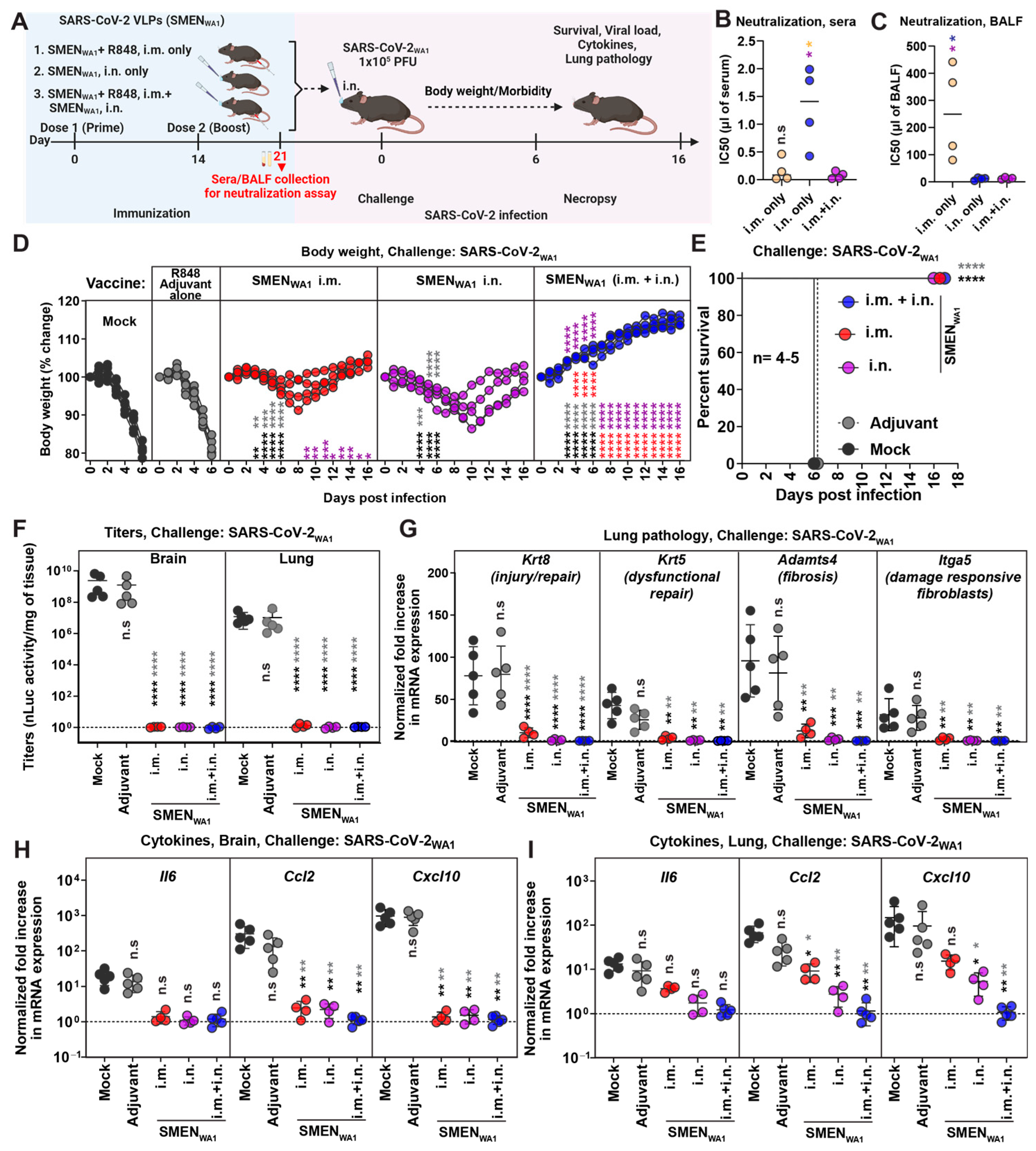 Vaccines 12 01007 g001