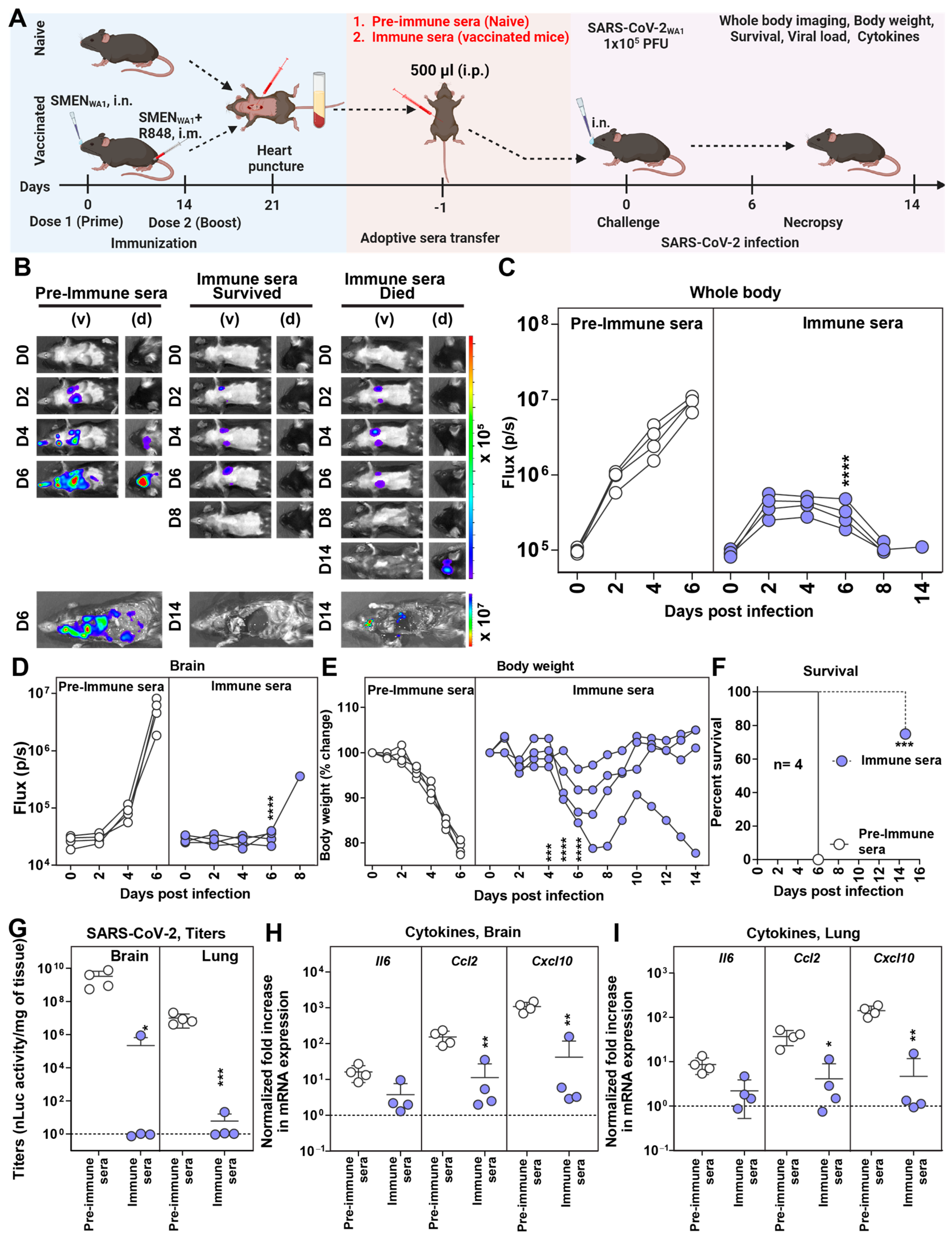 Vaccines 12 01007 g002