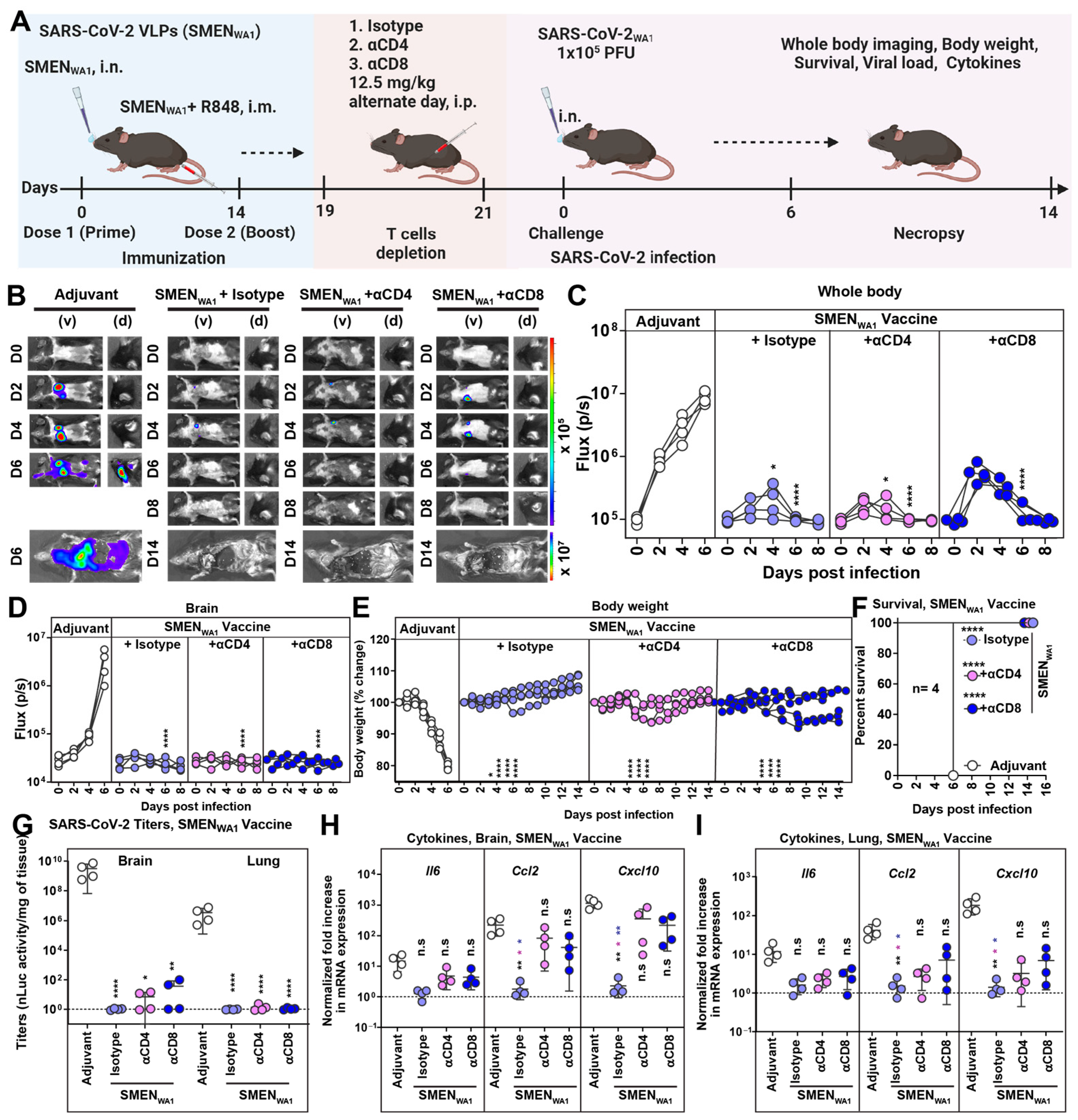 Vaccines 12 01007 g003