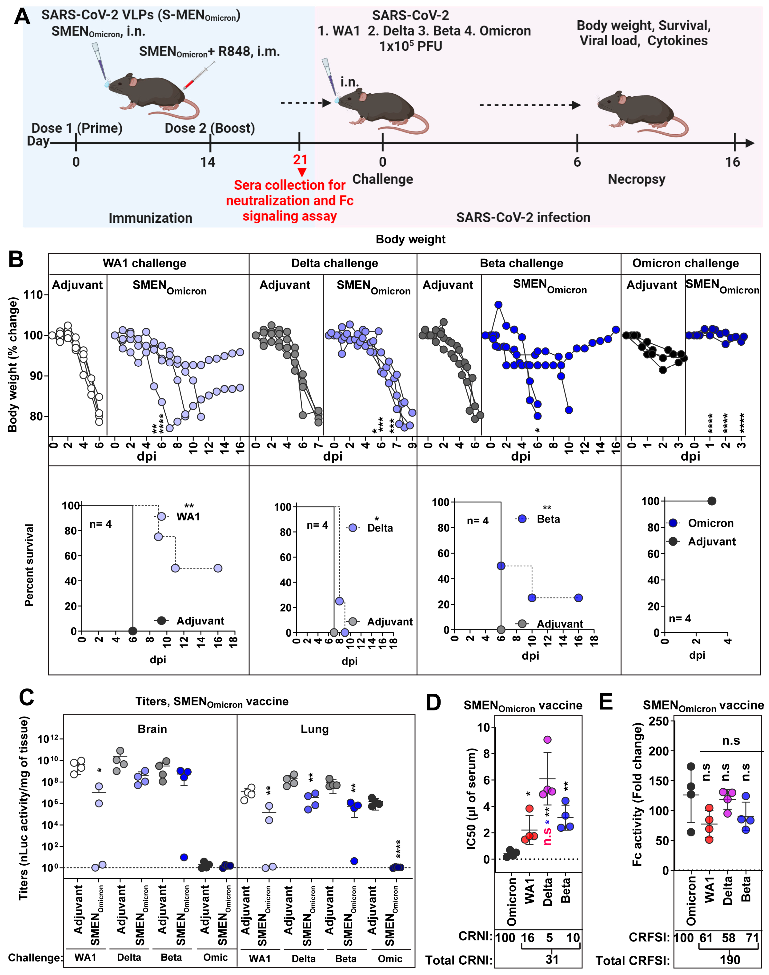 Vaccines 12 01007 g005