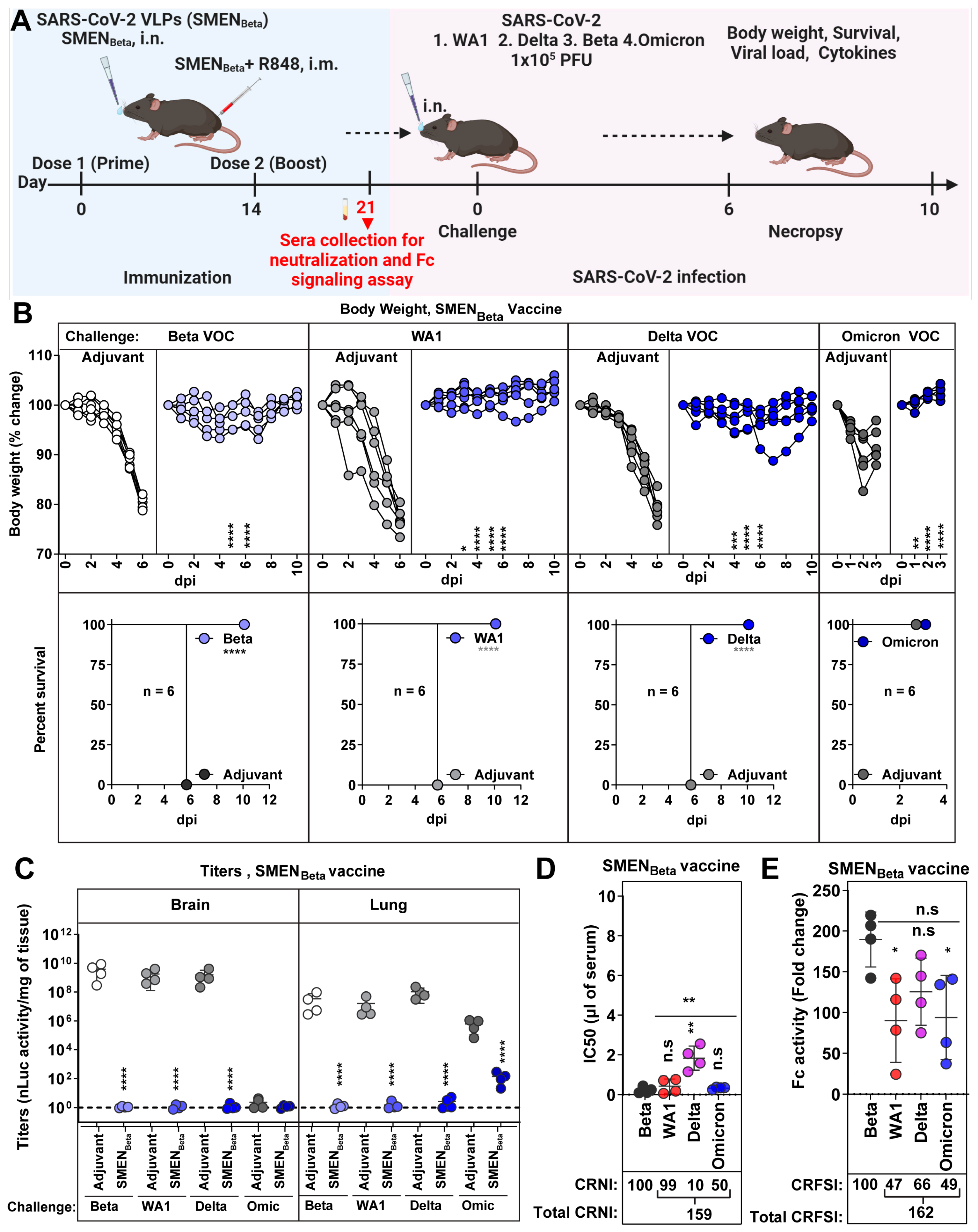 Vaccines 12 01007 g006