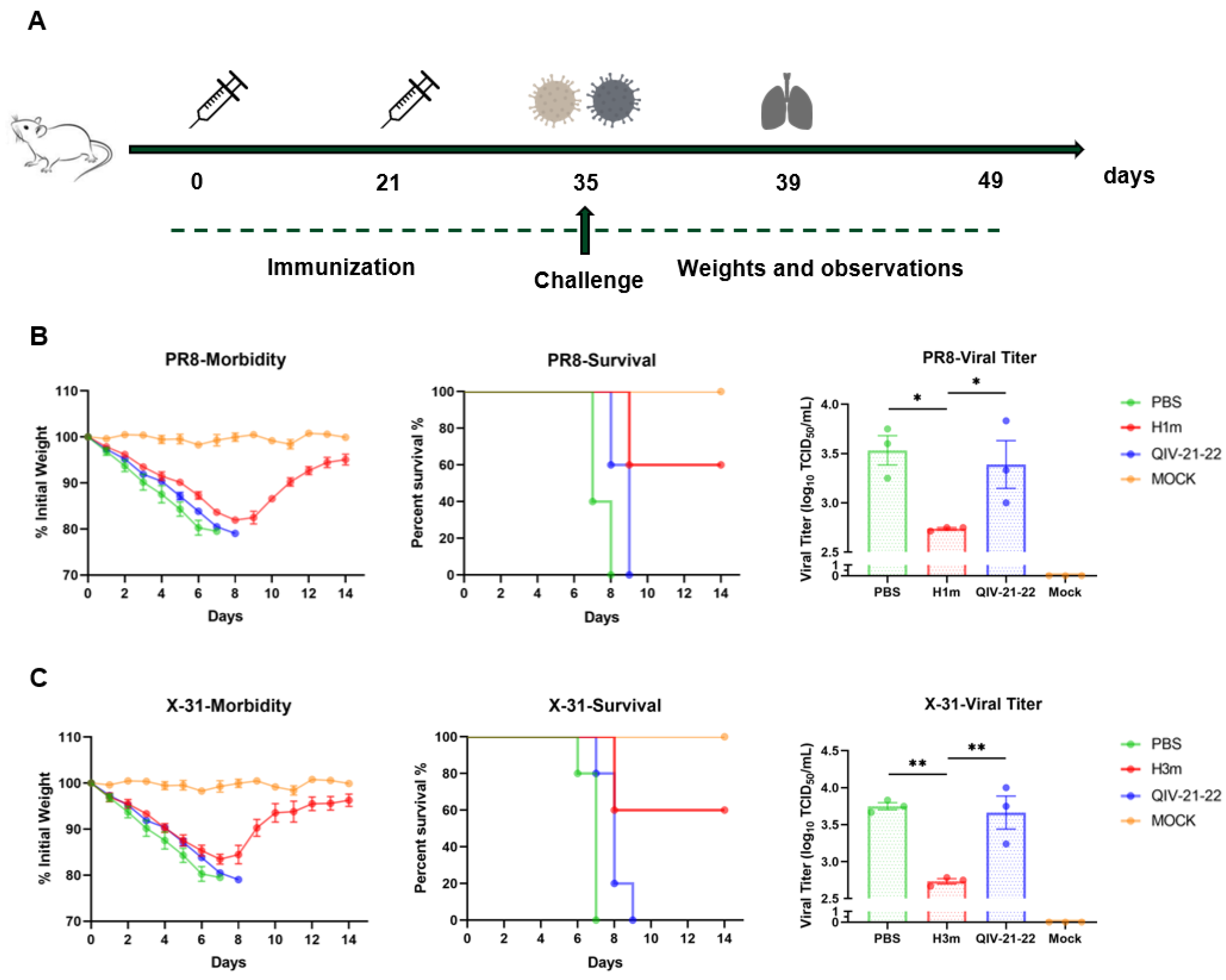 Vaccines 12 01008 g006 Vaccines 12 01008 g006