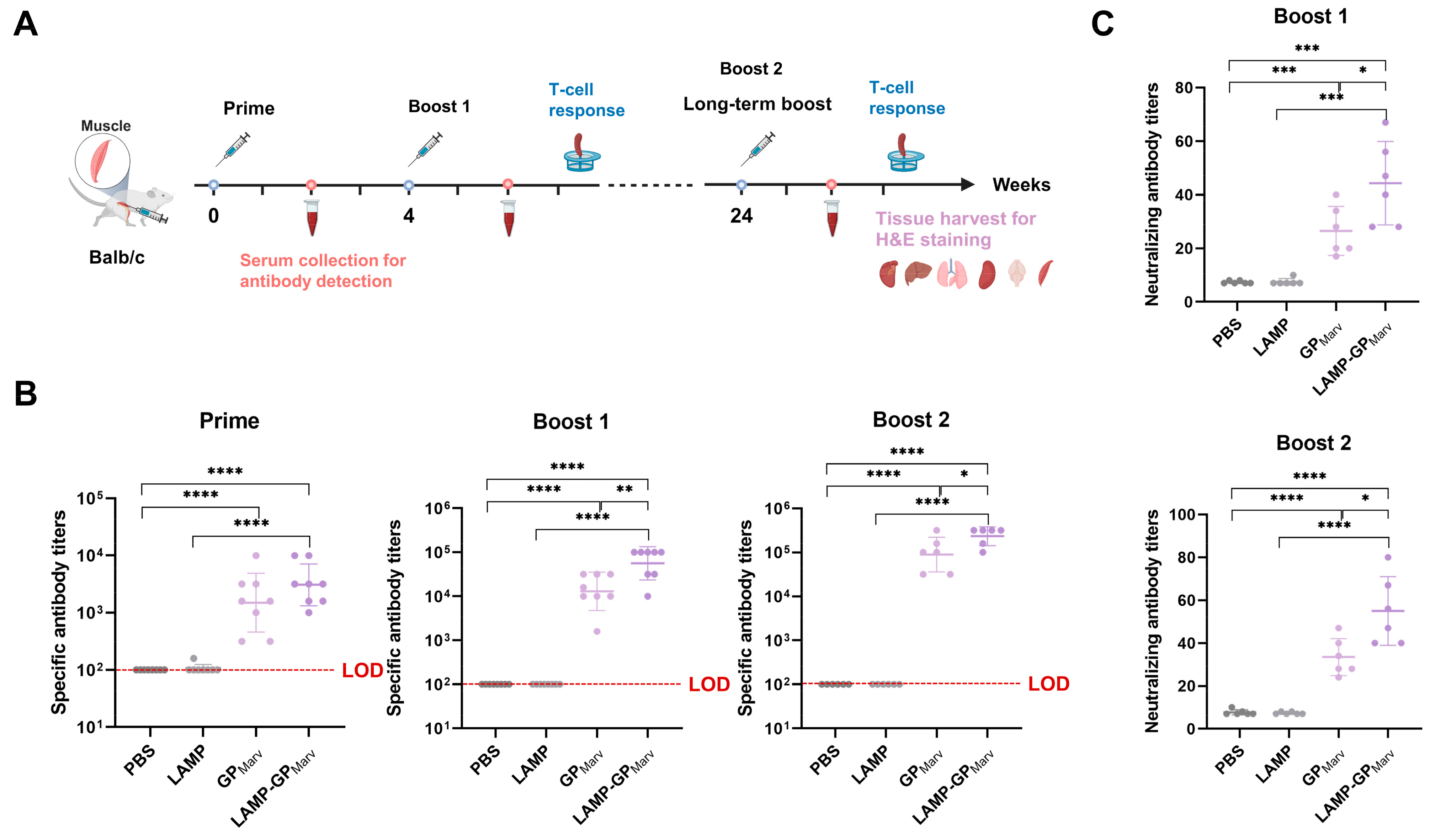 Vaccines 12 01013 g002