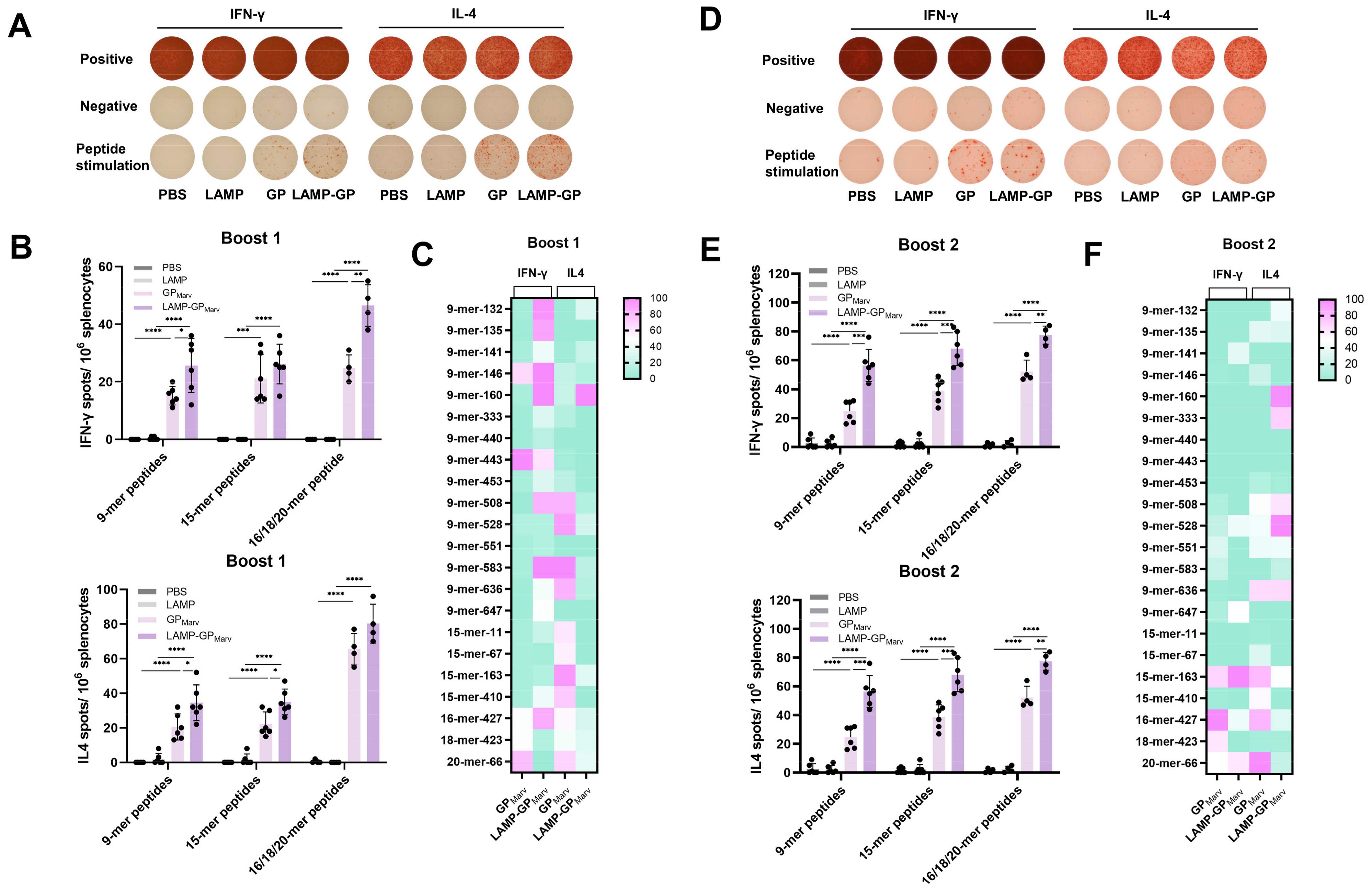 Vaccines 12 01013 g003