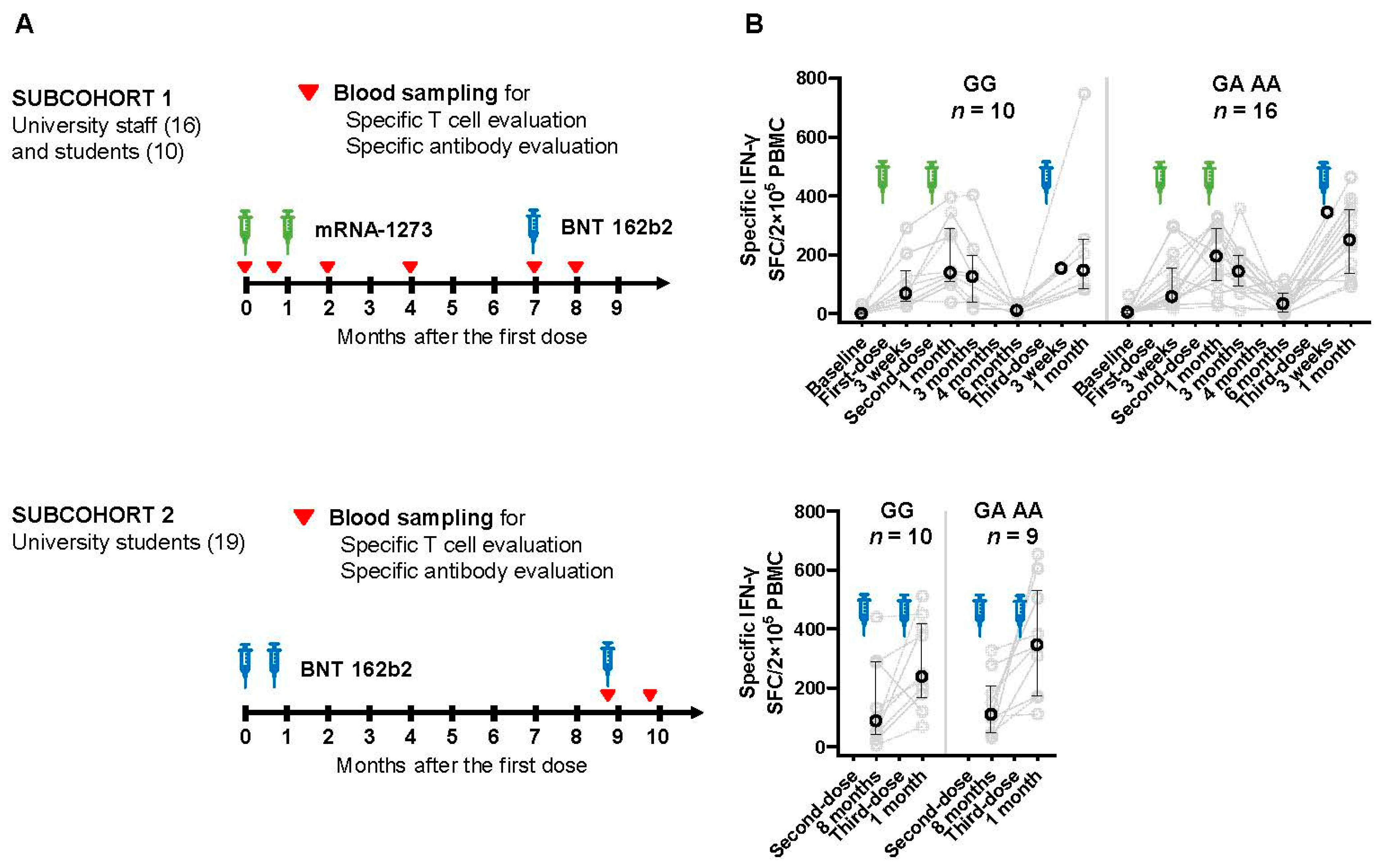 Vaccines 12 01015 g001