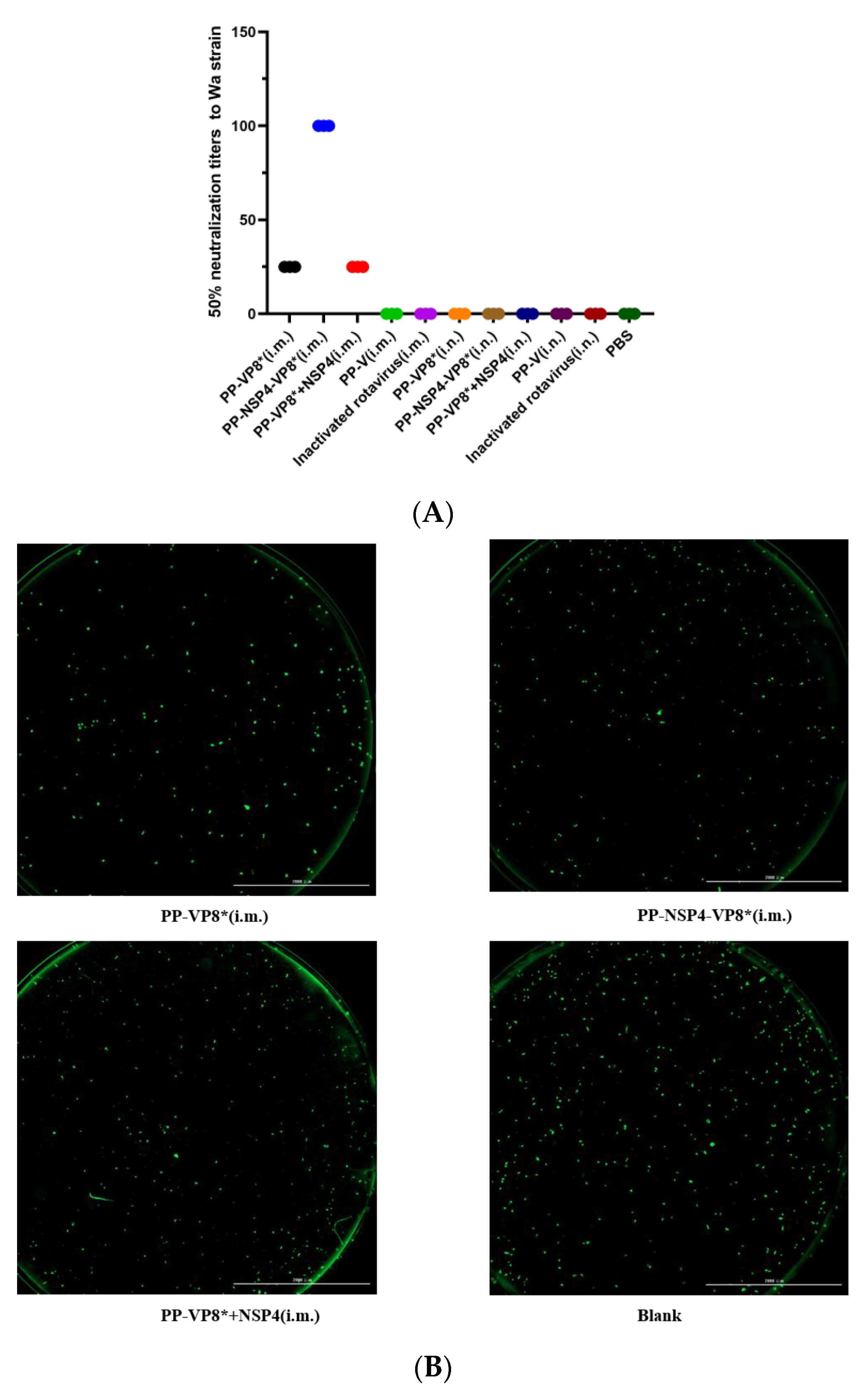 Vaccines 12 01025 g004 Vaccines 12 01025 g004