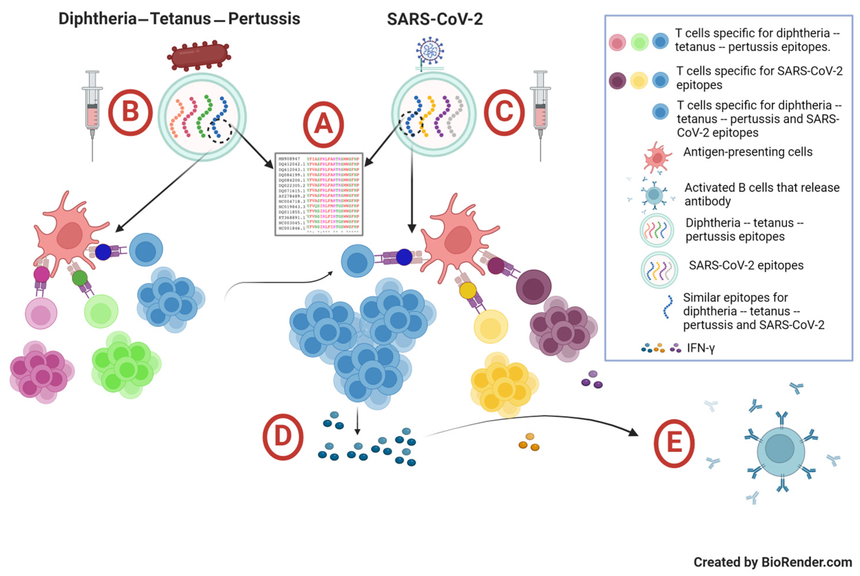 Vaccines 12 01032 g003
