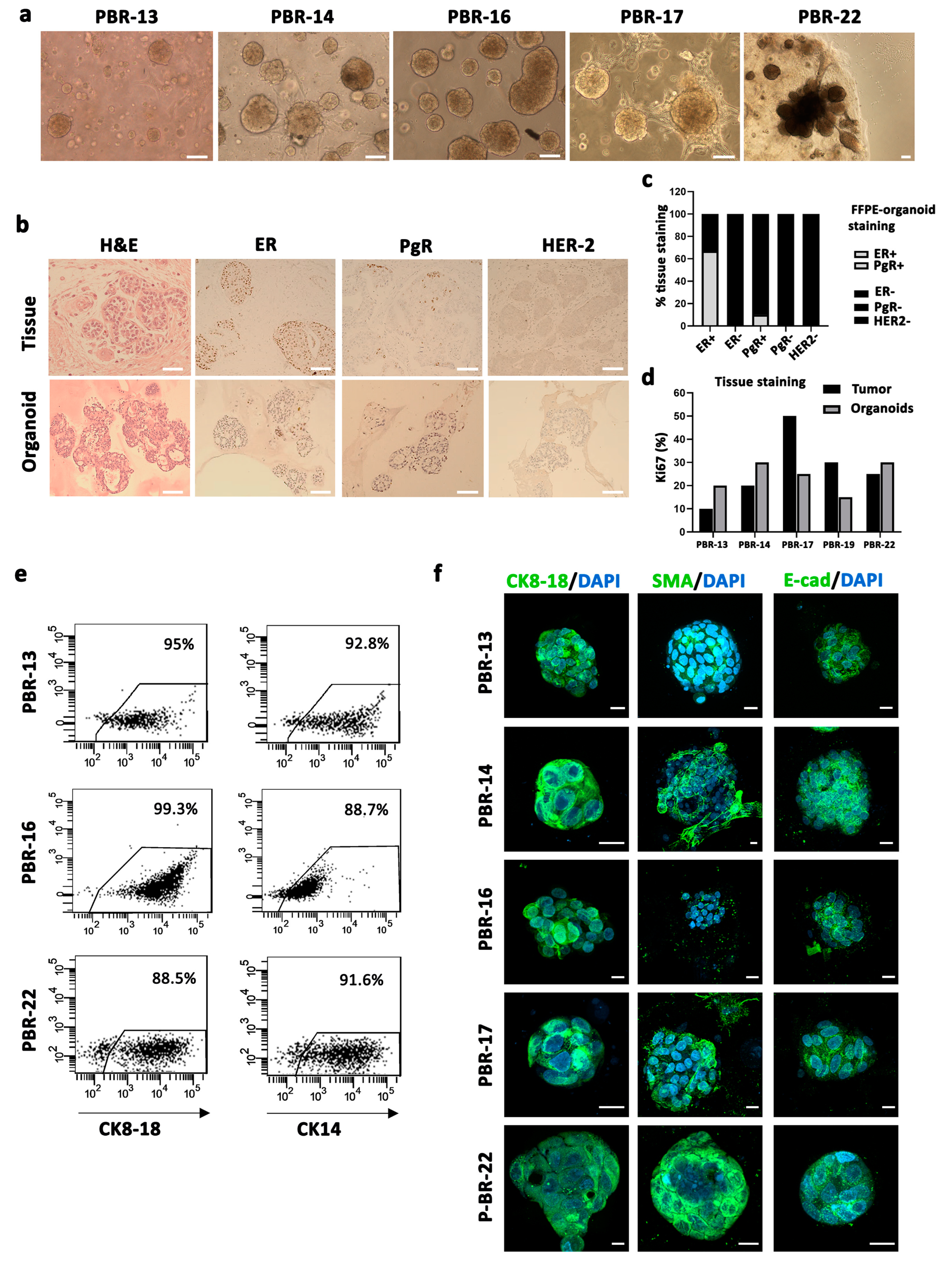 Vaccines 12 01058 g003