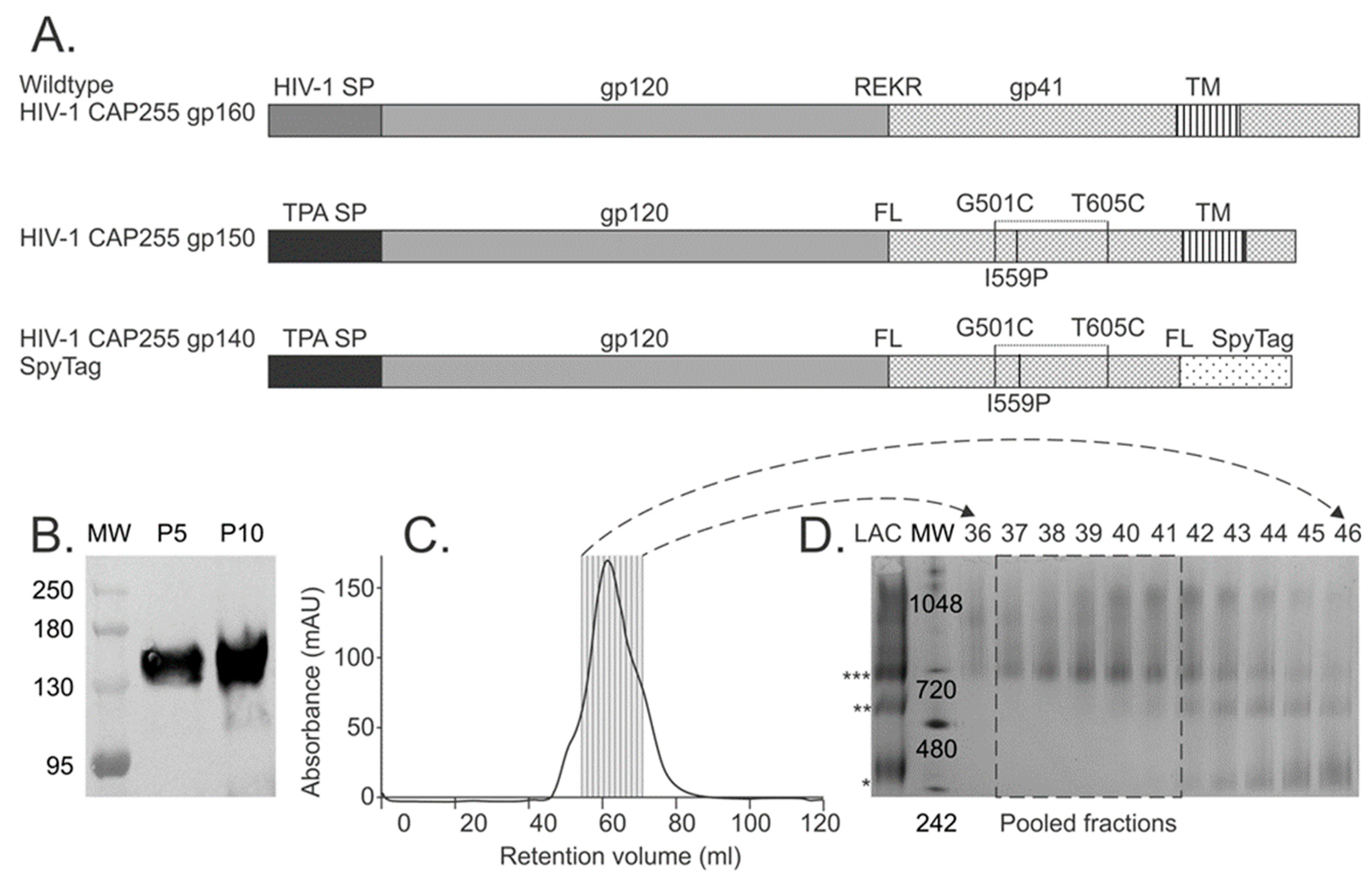 Vaccines 12 01063 g001