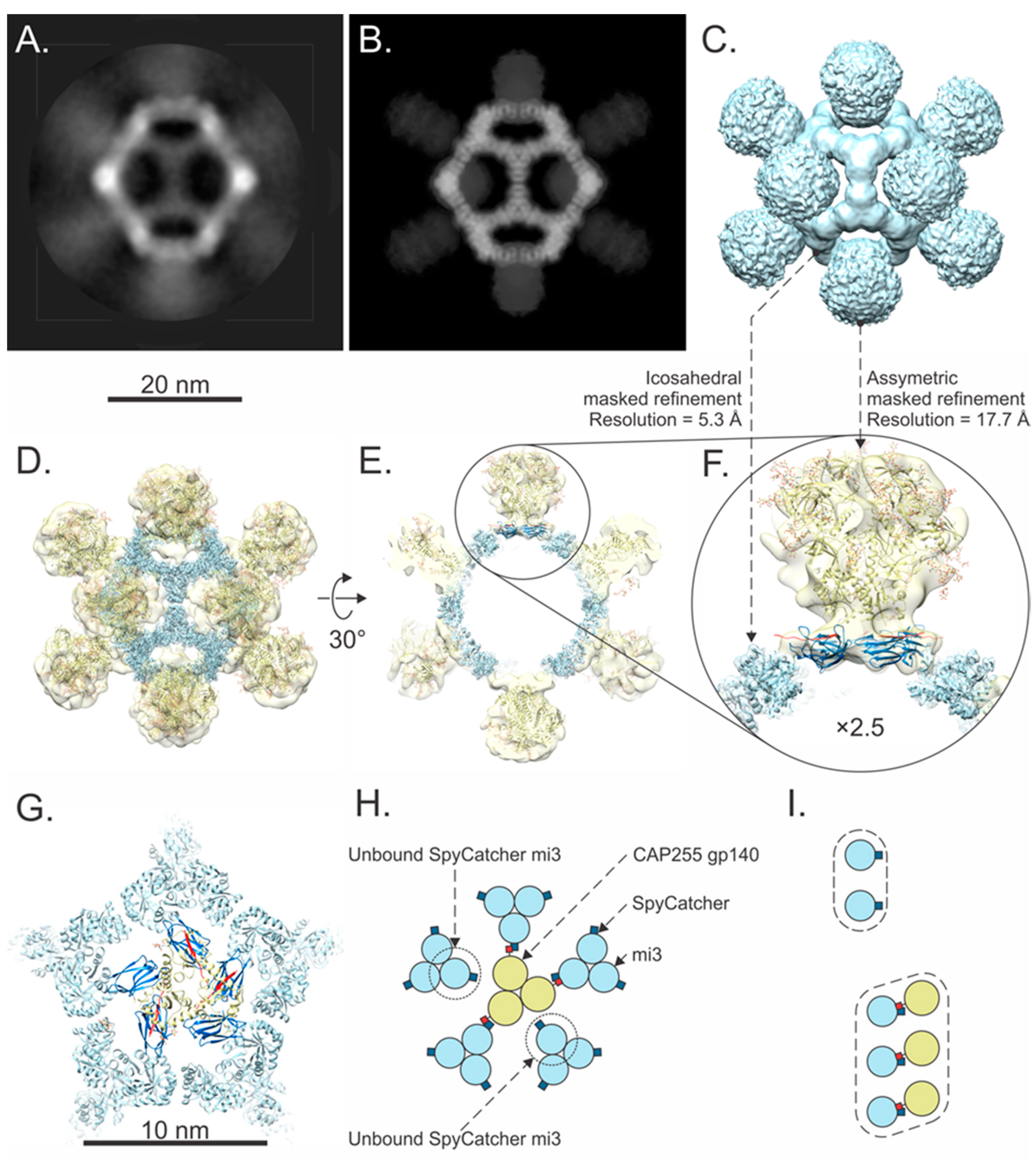 Vaccines 12 01063 g005