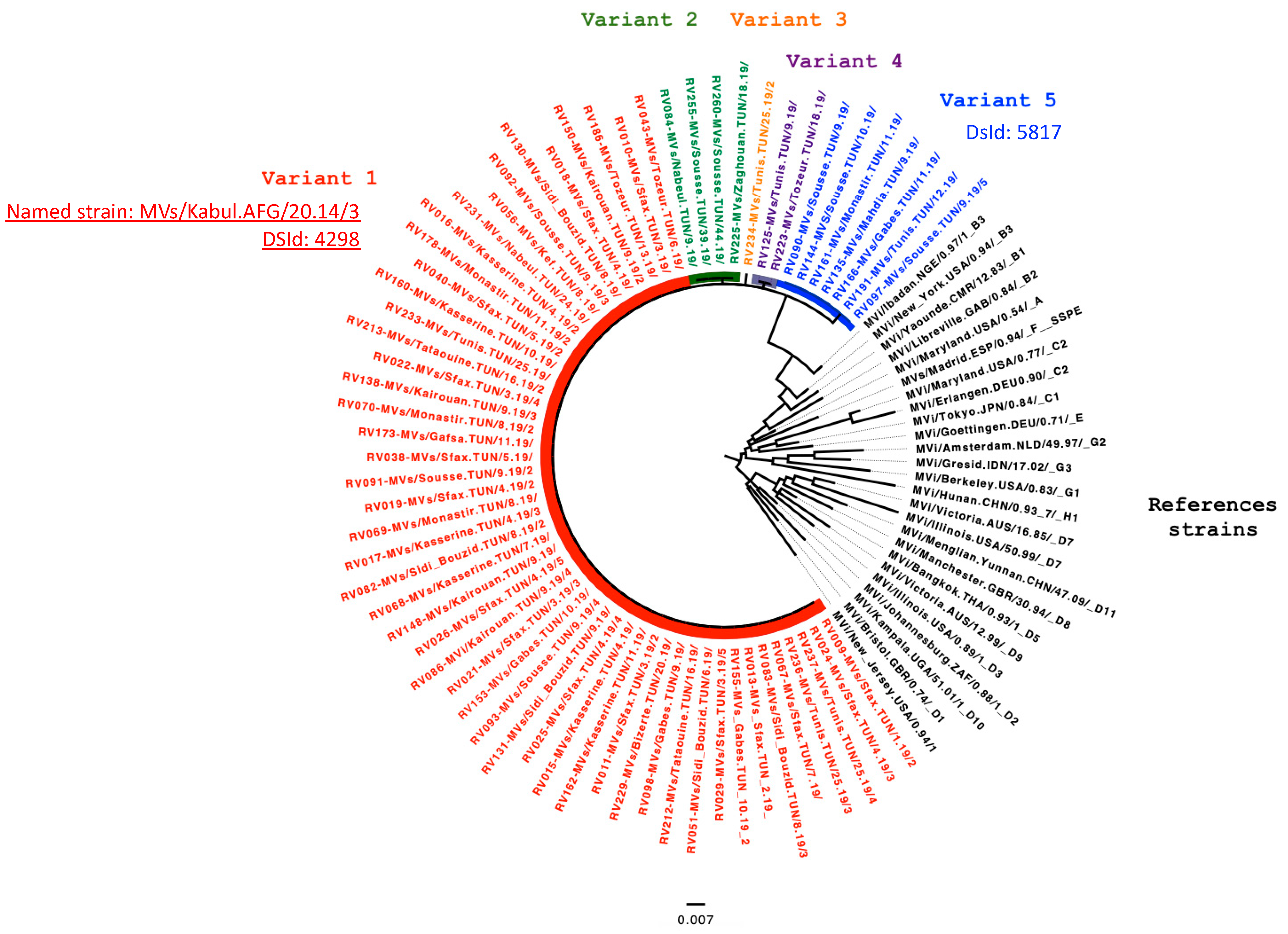 Vaccines 12 01085 g002