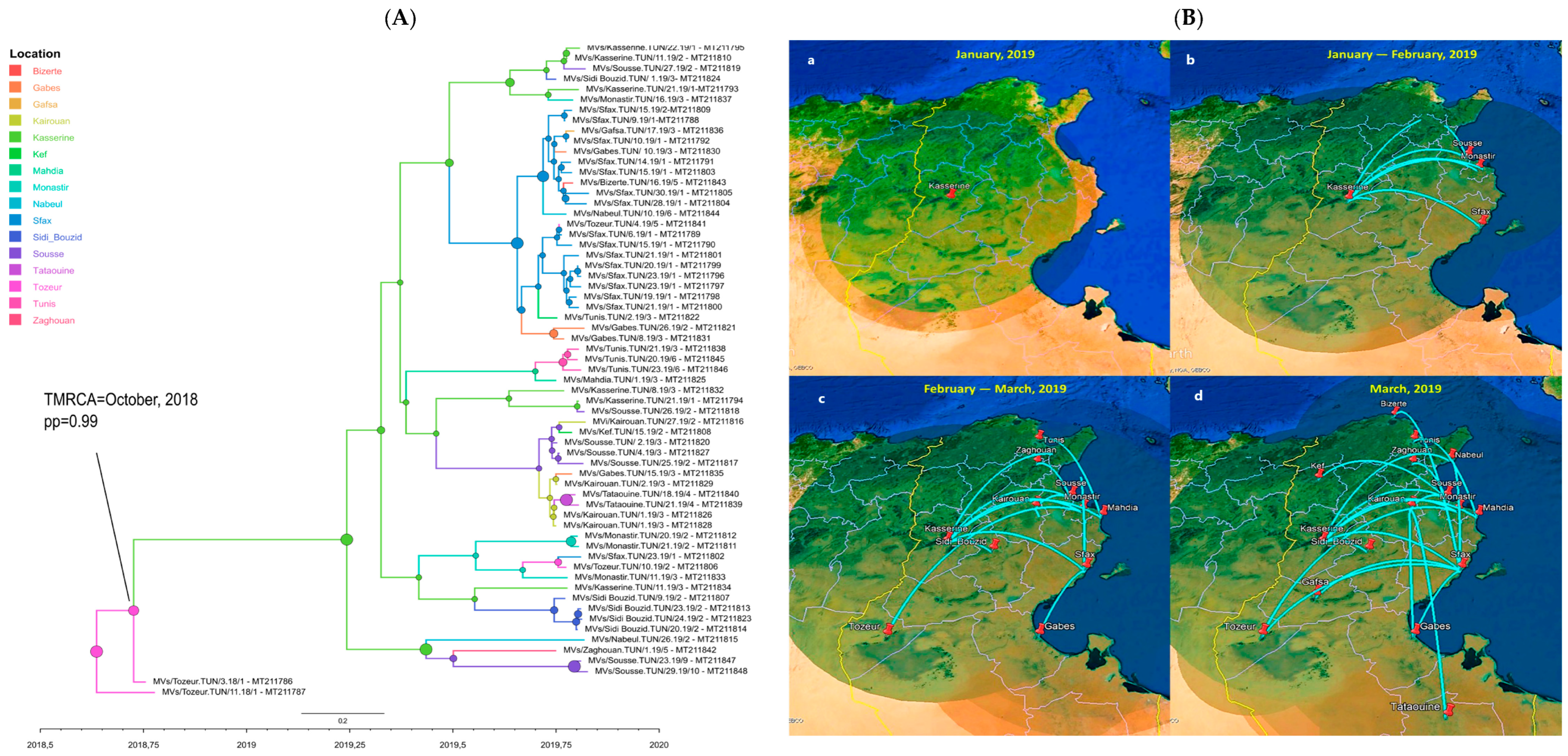 Vaccines 12 01085 g005