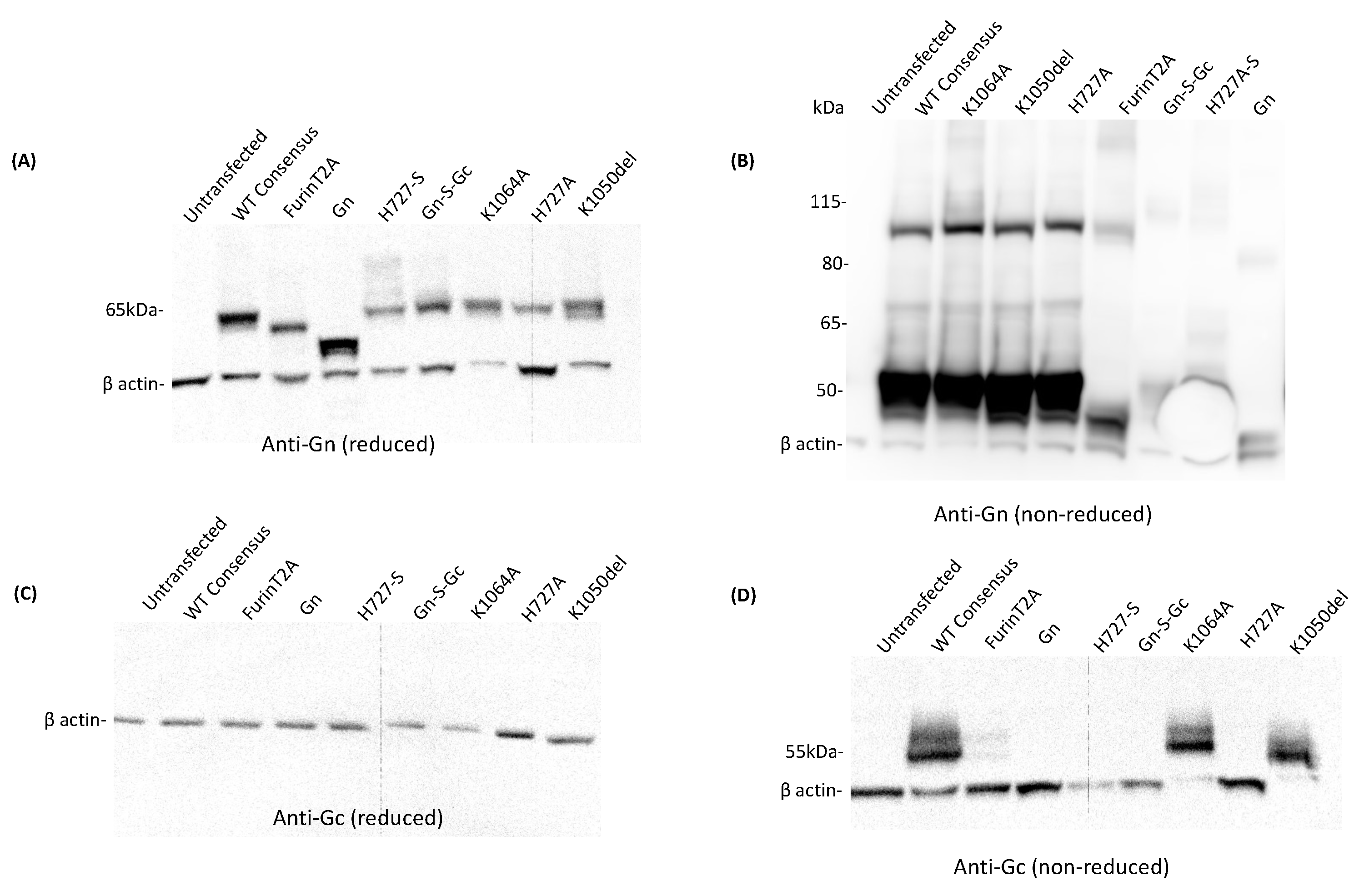 Vaccines 12 01088 g003