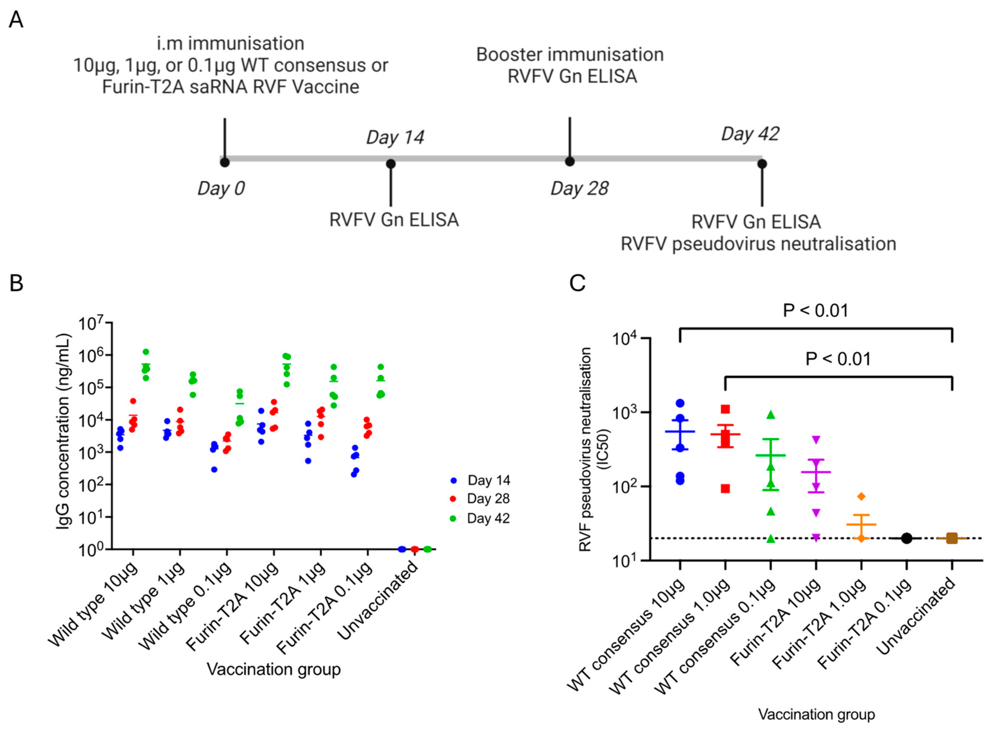Vaccines 12 01088 g006