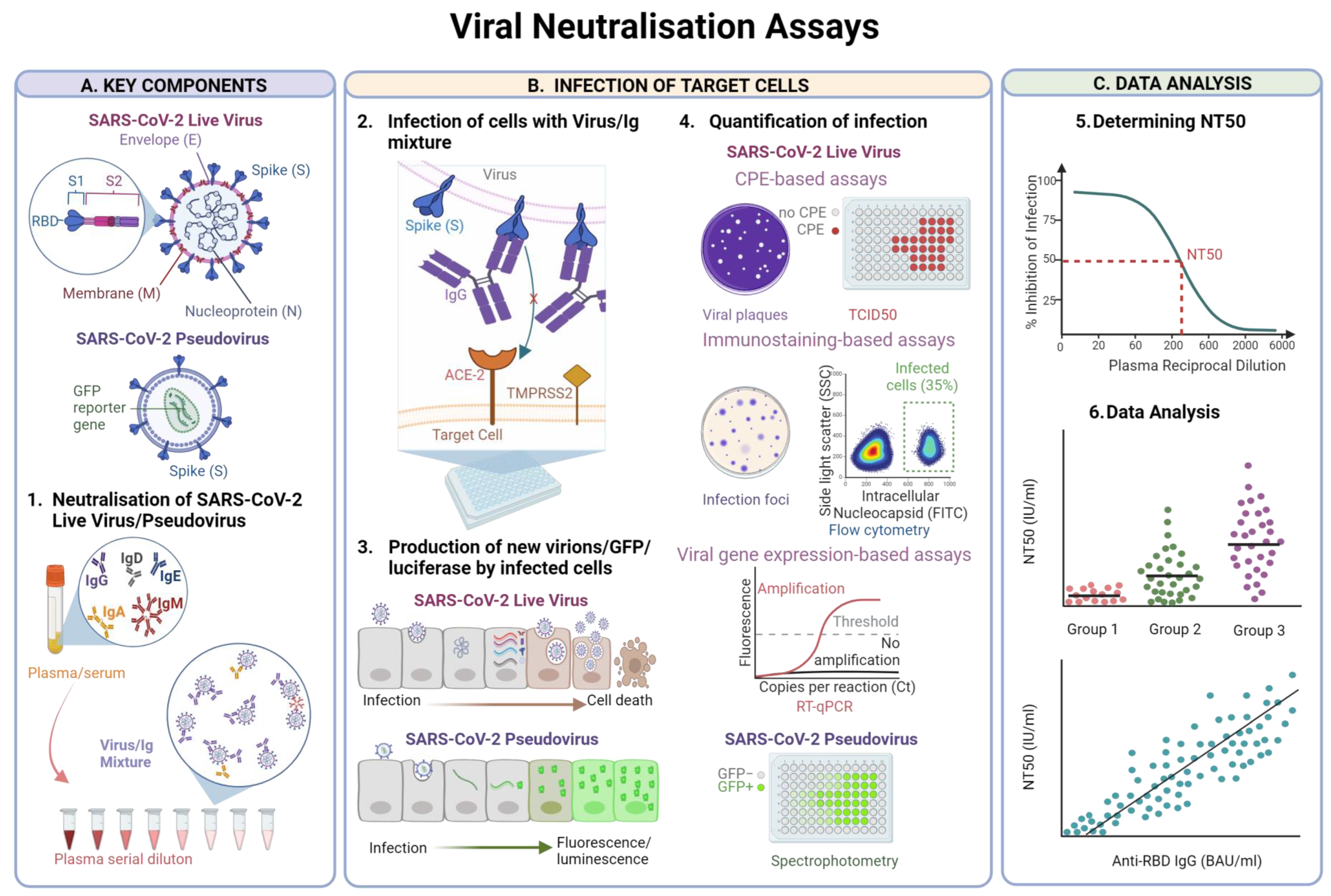 Vaccines 12 01089 g001