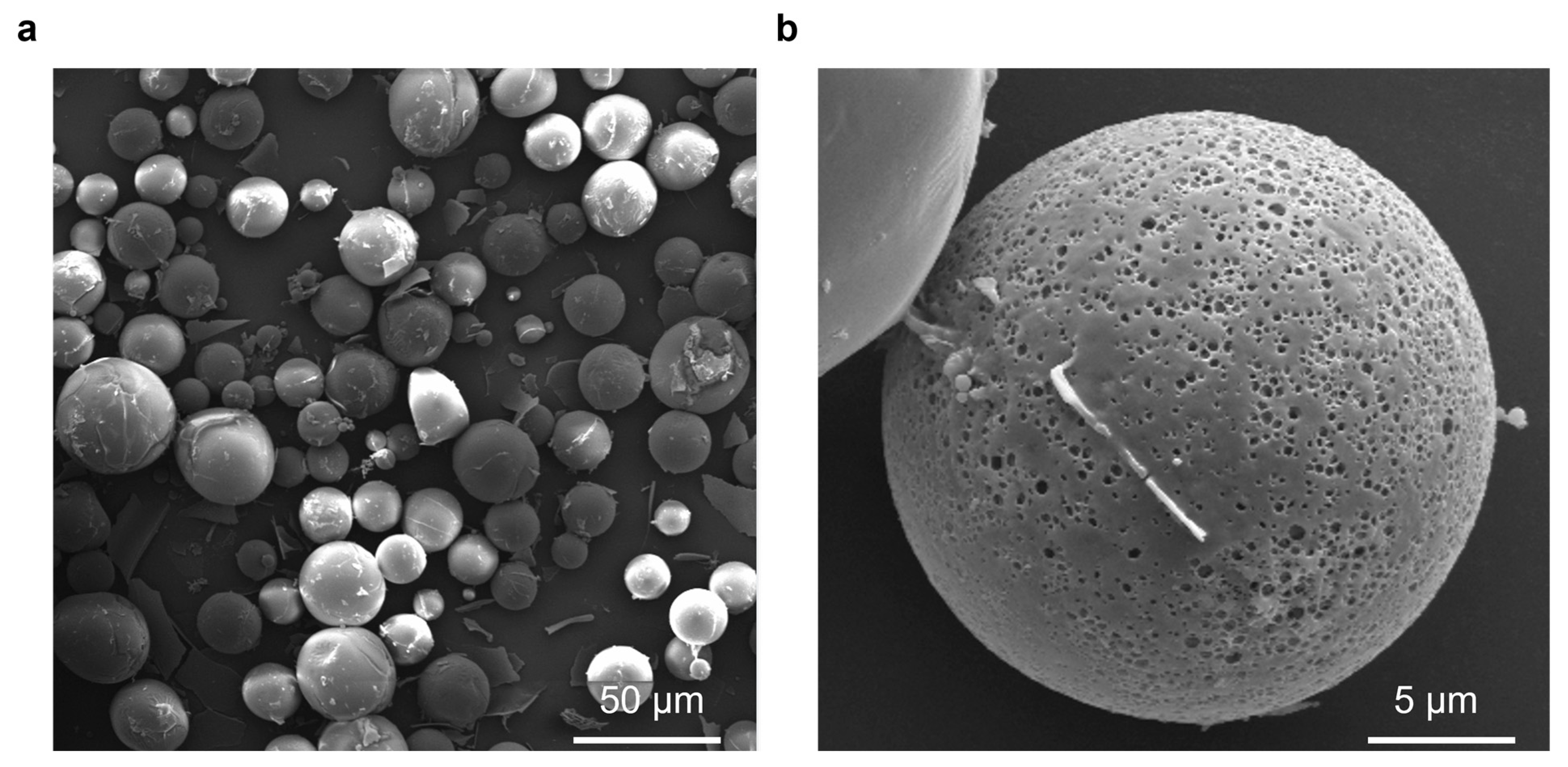 Vaccines 12 01103 g001