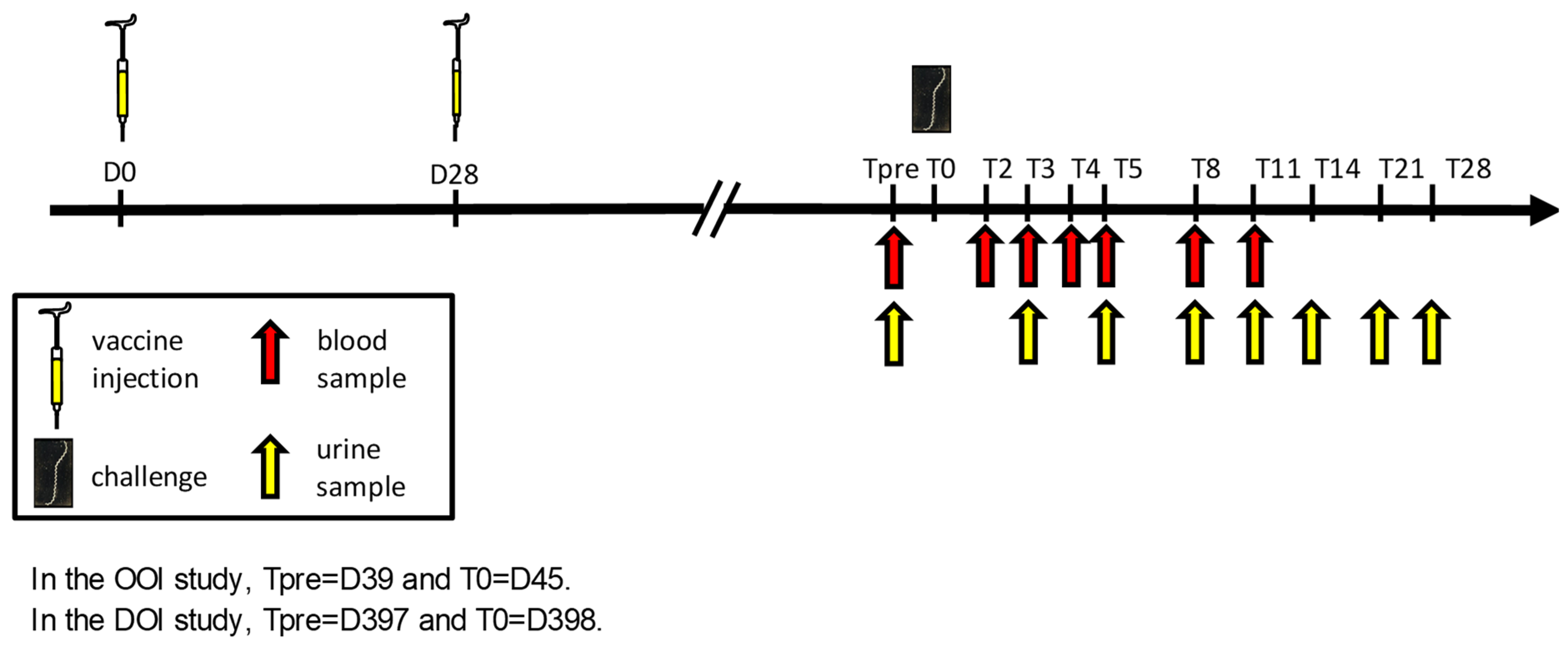 Vaccines 12 01104 g001 Vaccines 12 01104 g001