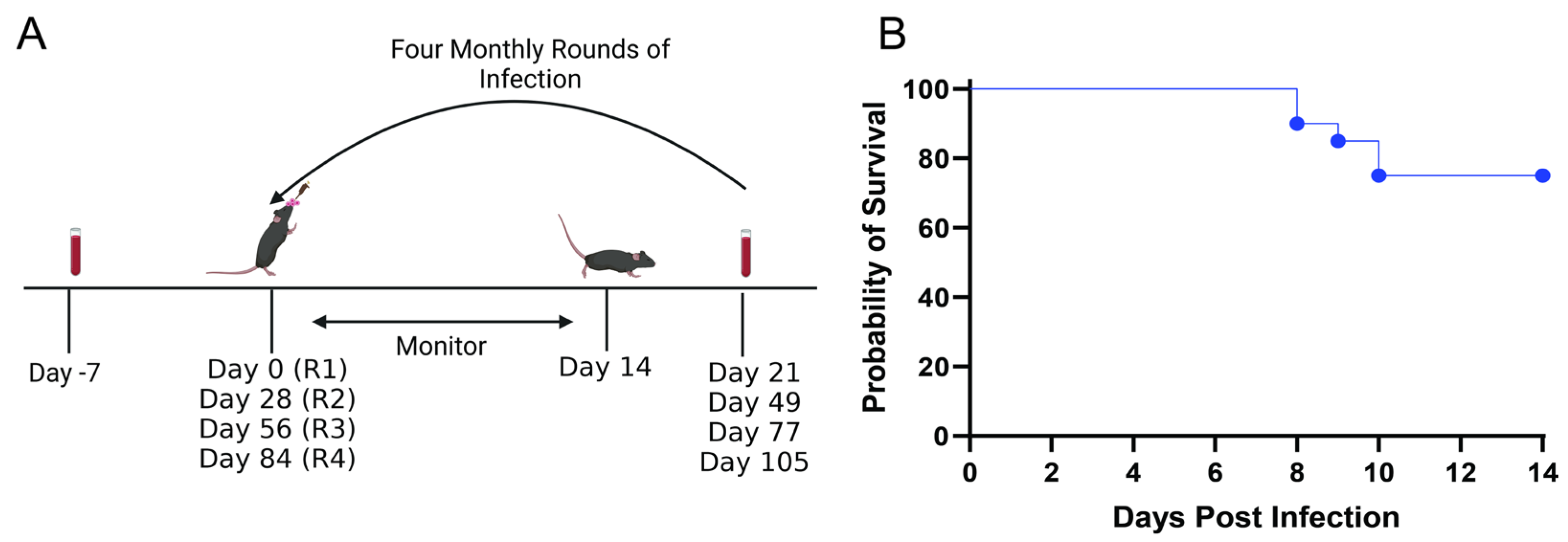 Vaccines 12 01127 g002