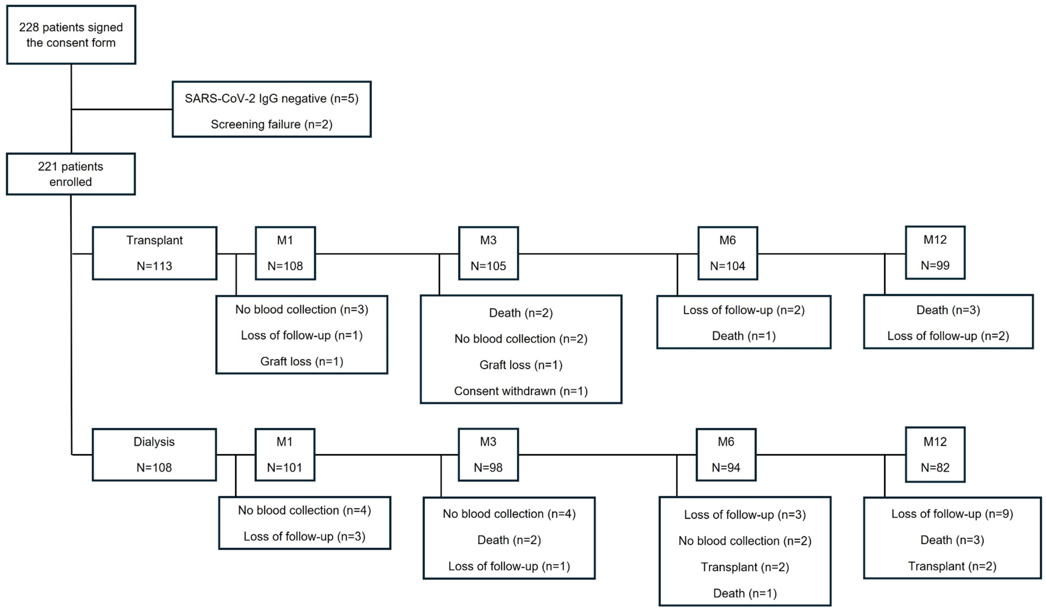 Vaccines 12 01135 g001