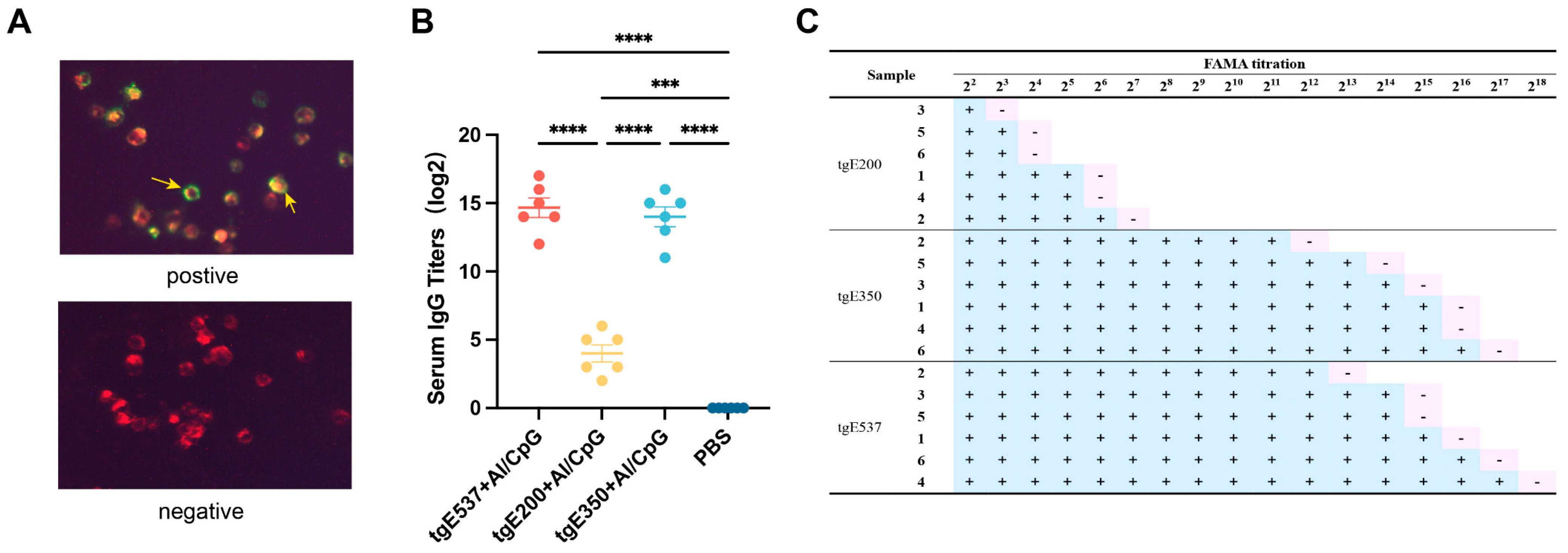 Vaccines 12 01139 g005